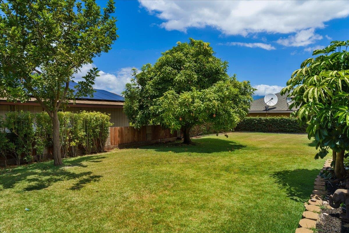 145  Lanakila Pl North Kihei, Kihei home - photo 45 of 49