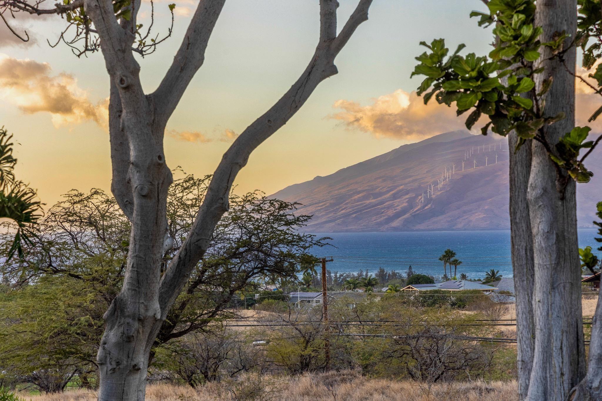 Kanani Wailea condo # 26, Kihei, Hawaii - photo 5 of 50