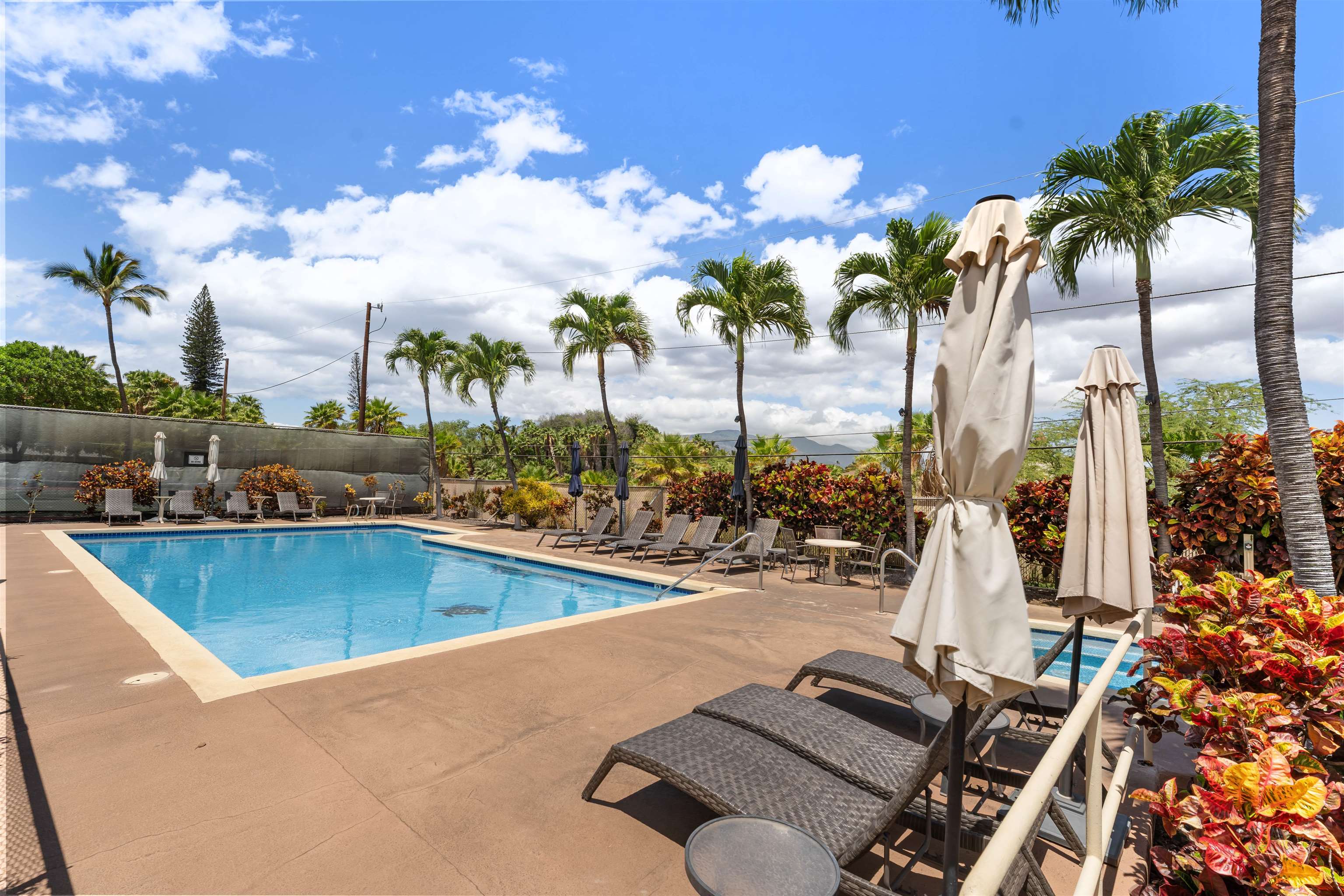 Maui Gardens condo # A205, Kihei, Hawaii - photo 4 of 19