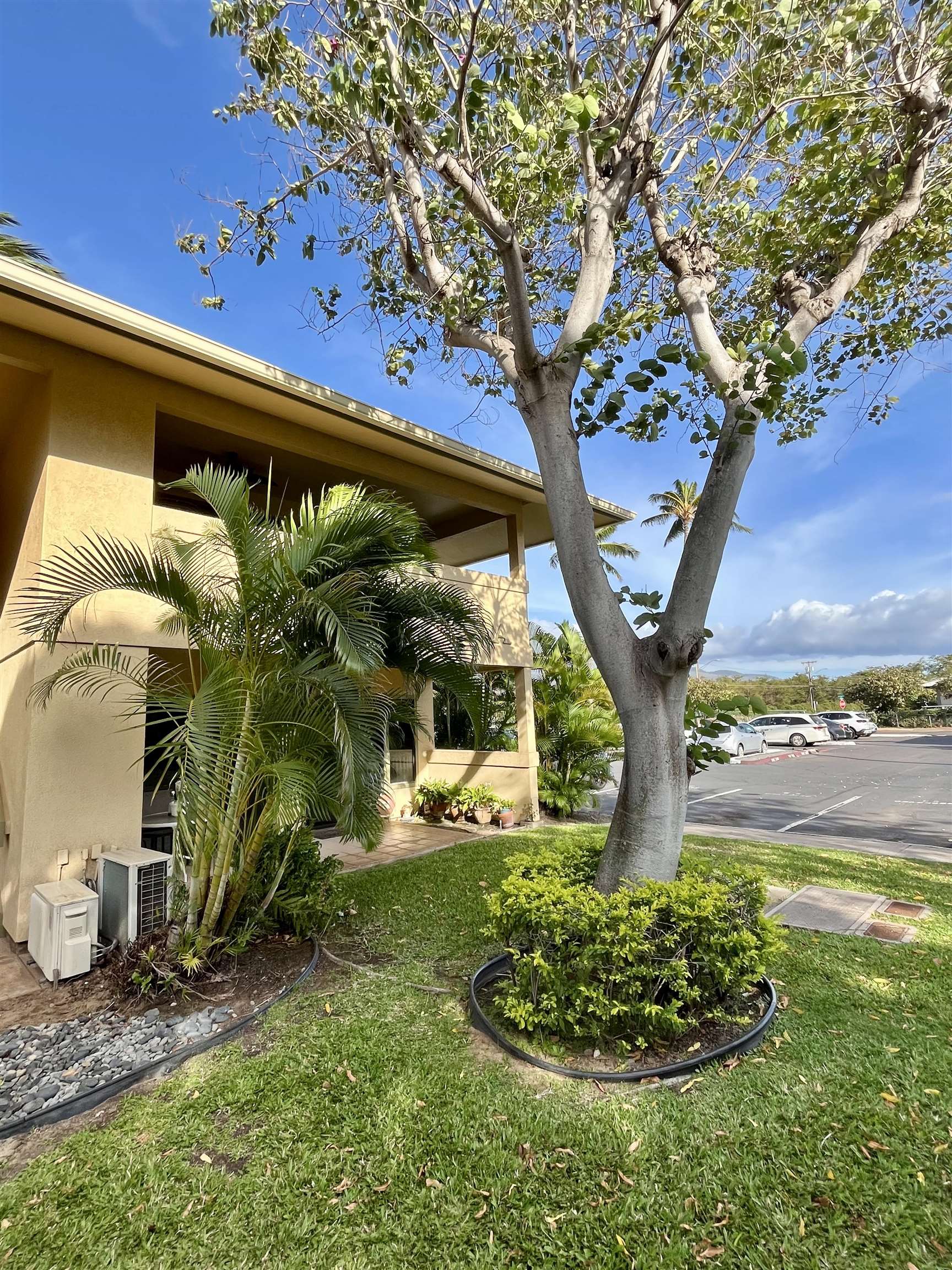 Maui Gardens condo # A208, Kihei, Hawaii - photo 28 of 35