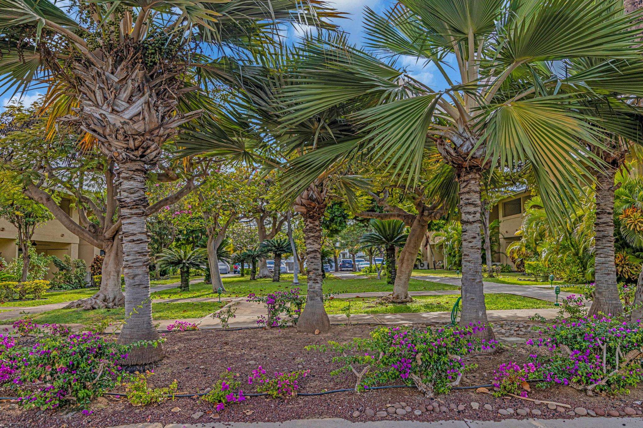 Maui Gardens condo # C-204, Kihei, Hawaii - photo 24 of 35