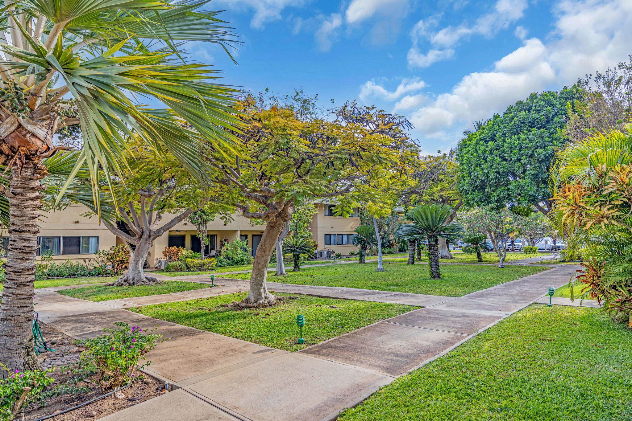 Maui Gardens condo # C-204, Kihei, Hawaii - photo 26 of 35
