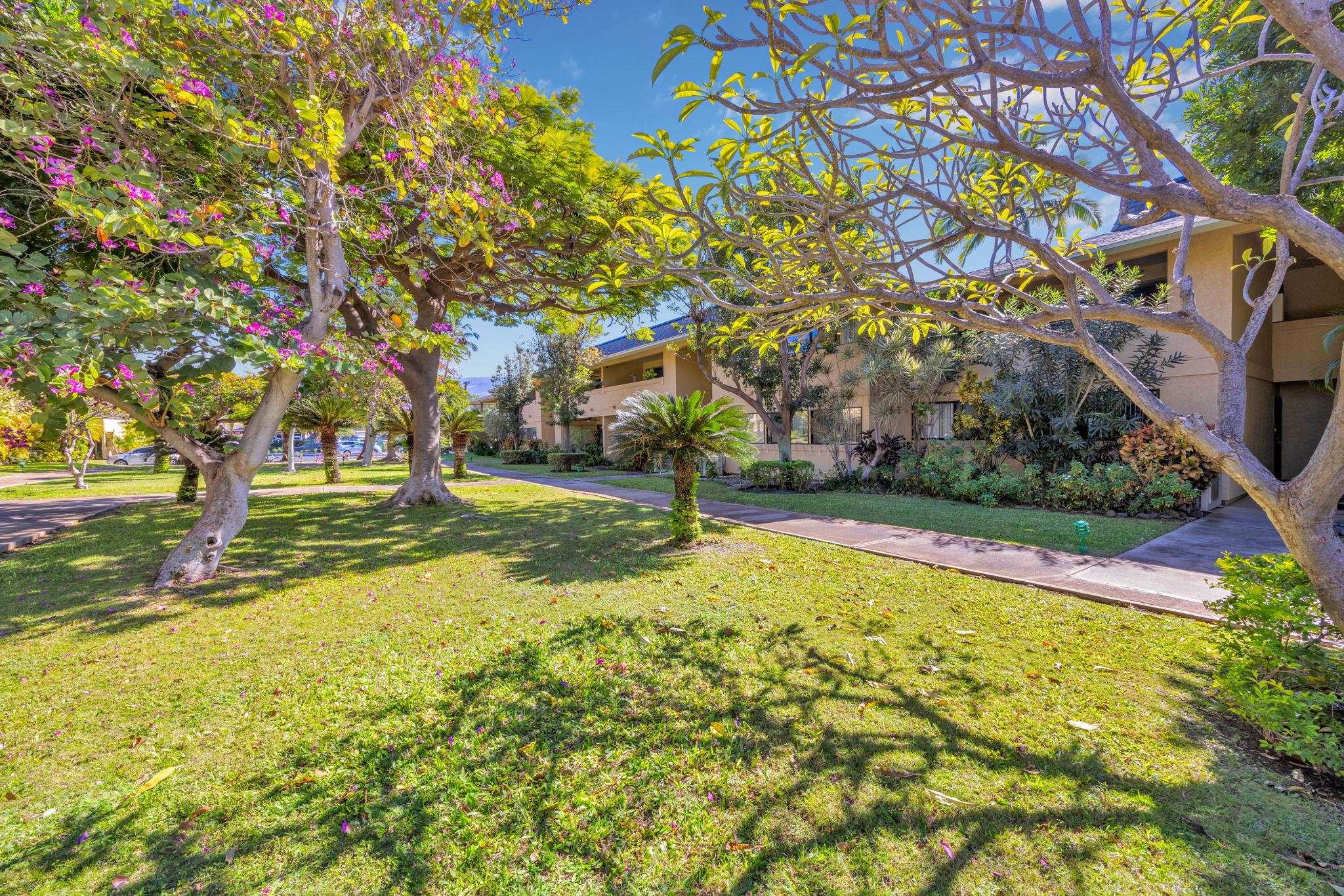 Maui Gardens condo # C206, Kihei, Hawaii - photo 34 of 50