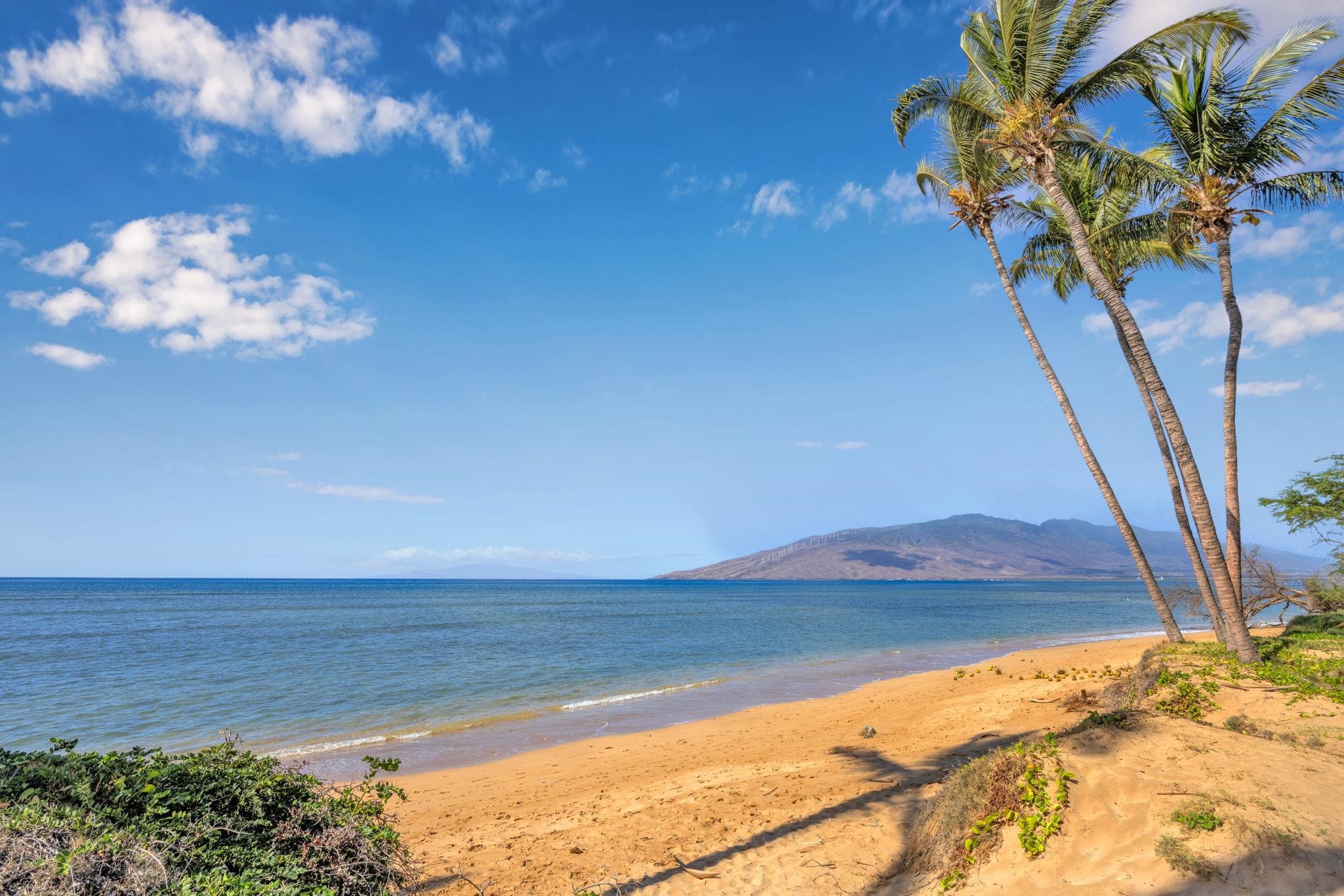 Maui Gardens condo # C206, Kihei, Hawaii - photo 40 of 50