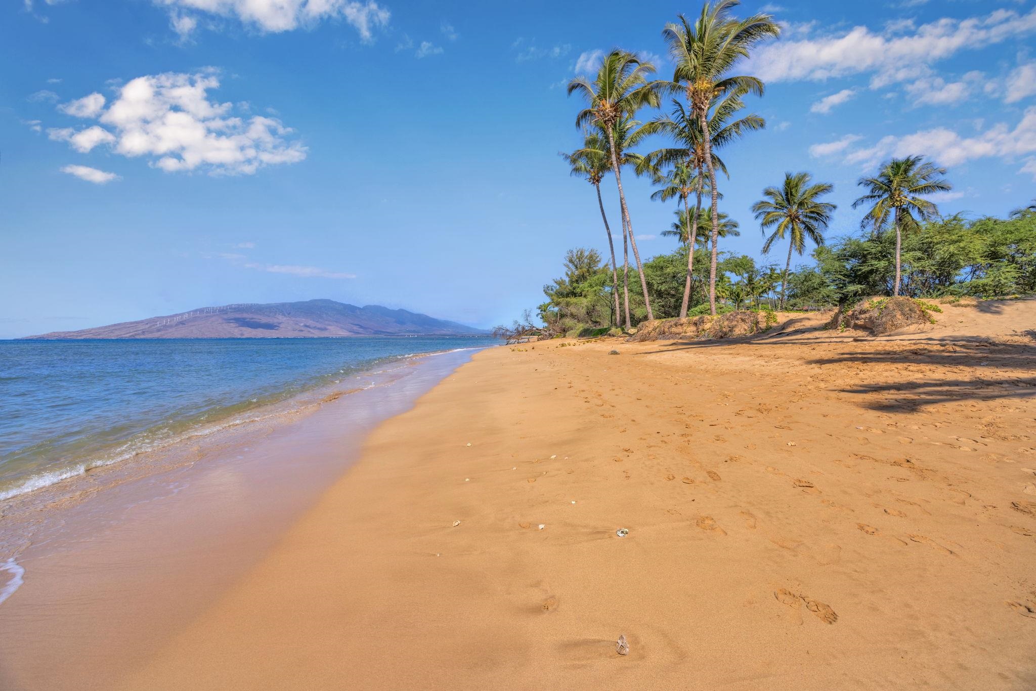 Maui Gardens condo # C206, Kihei, Hawaii - photo 41 of 50