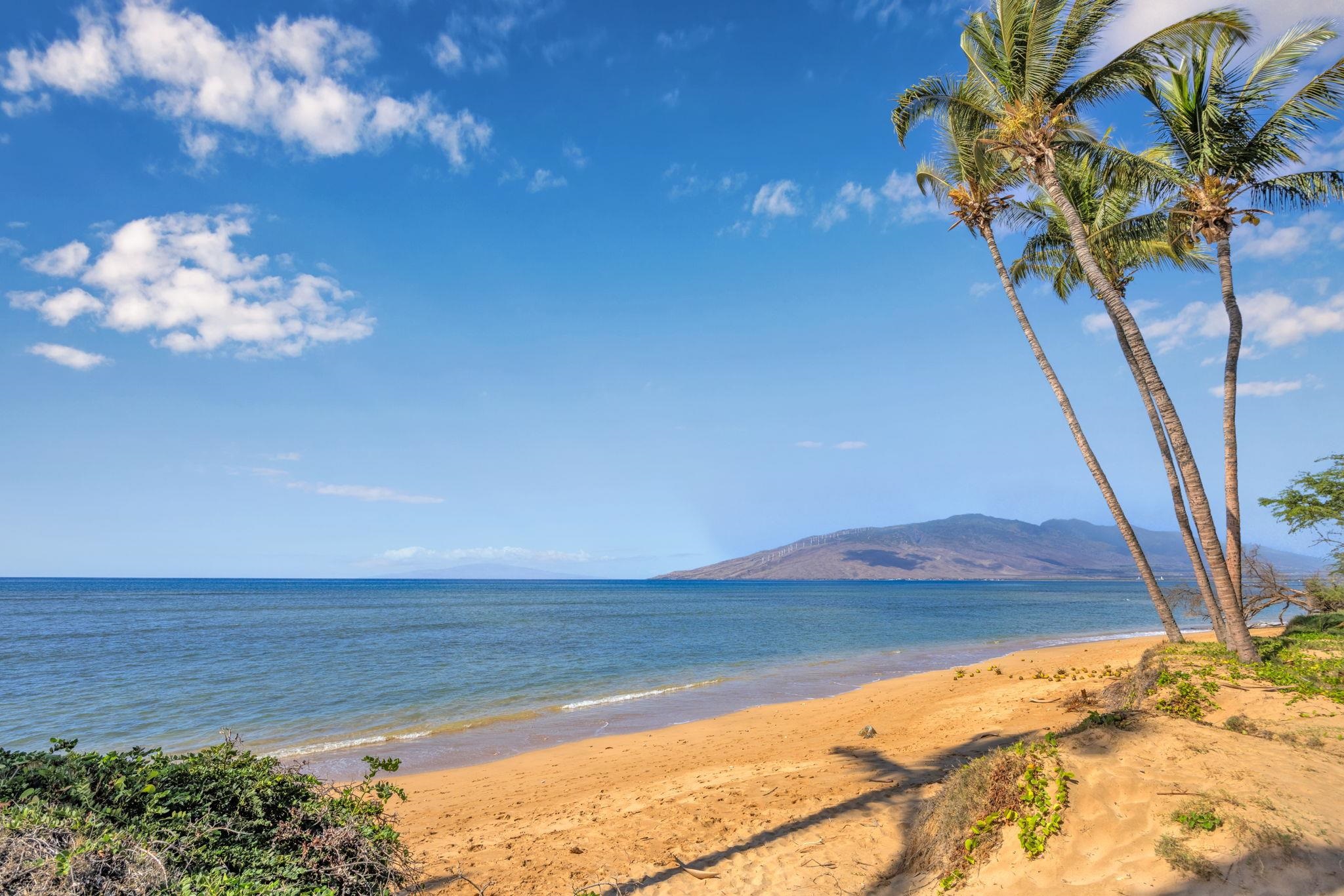 Maui Gardens condo # C206, Kihei, Hawaii - photo 40 of 50