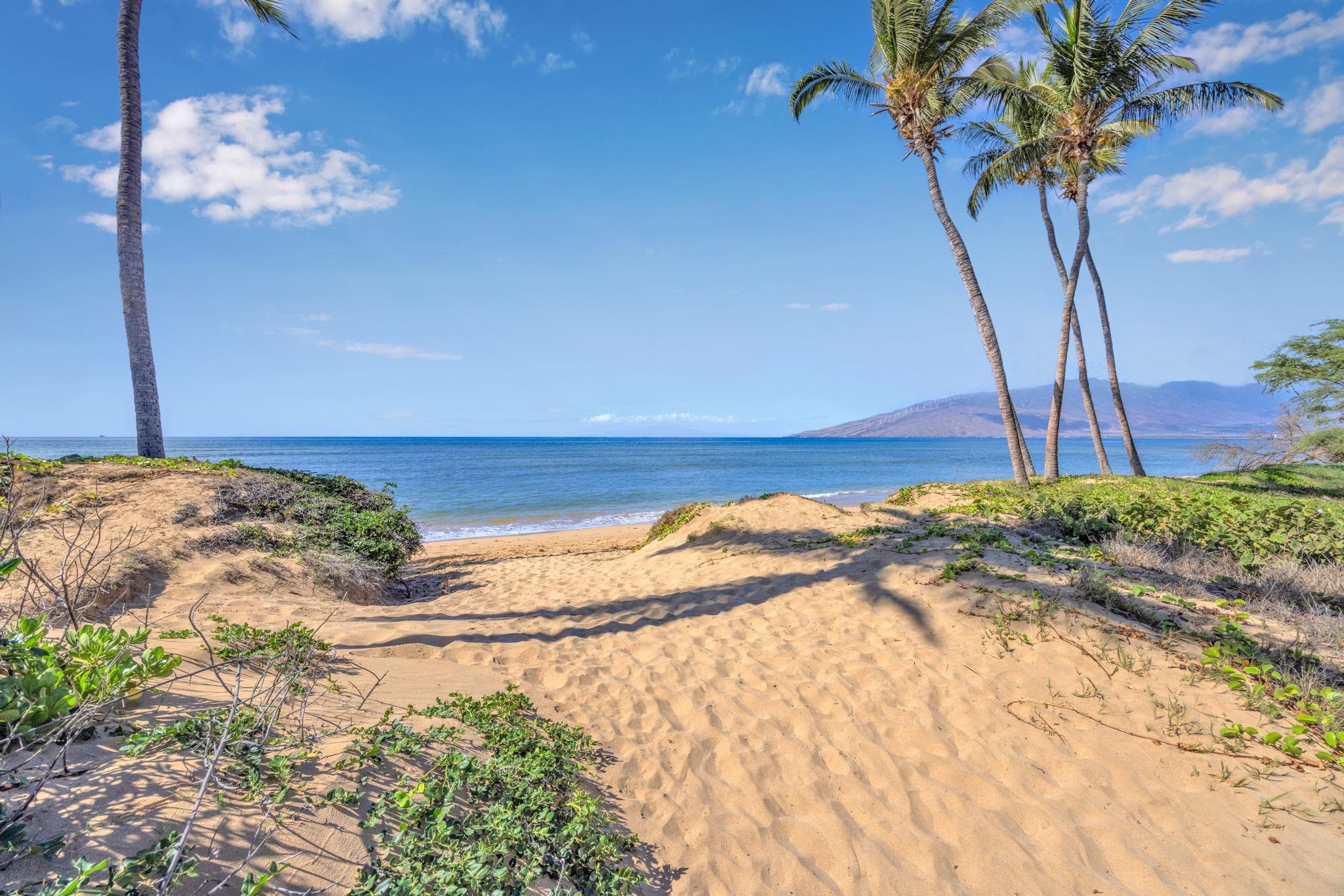 Maui Gardens condo # C206, Kihei, Hawaii - photo 41 of 50