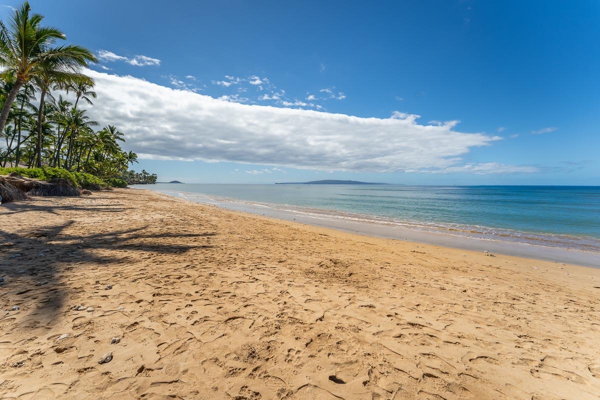 Maui Gardens condo # E101, Kihei, Hawaii - photo 44 of 50