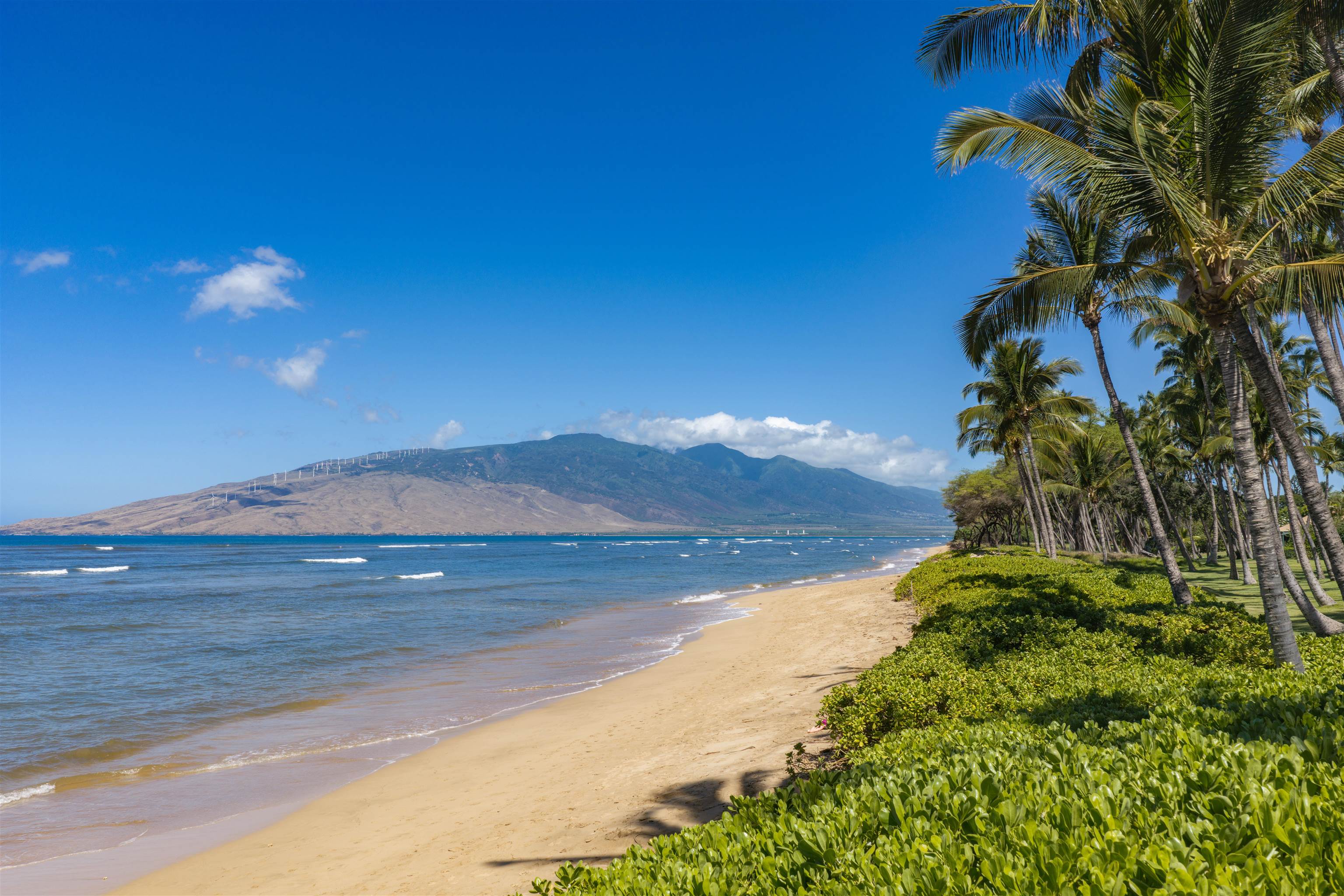 Maui Gardens condo # E-106, Kihei, Hawaii - photo 25 of 32