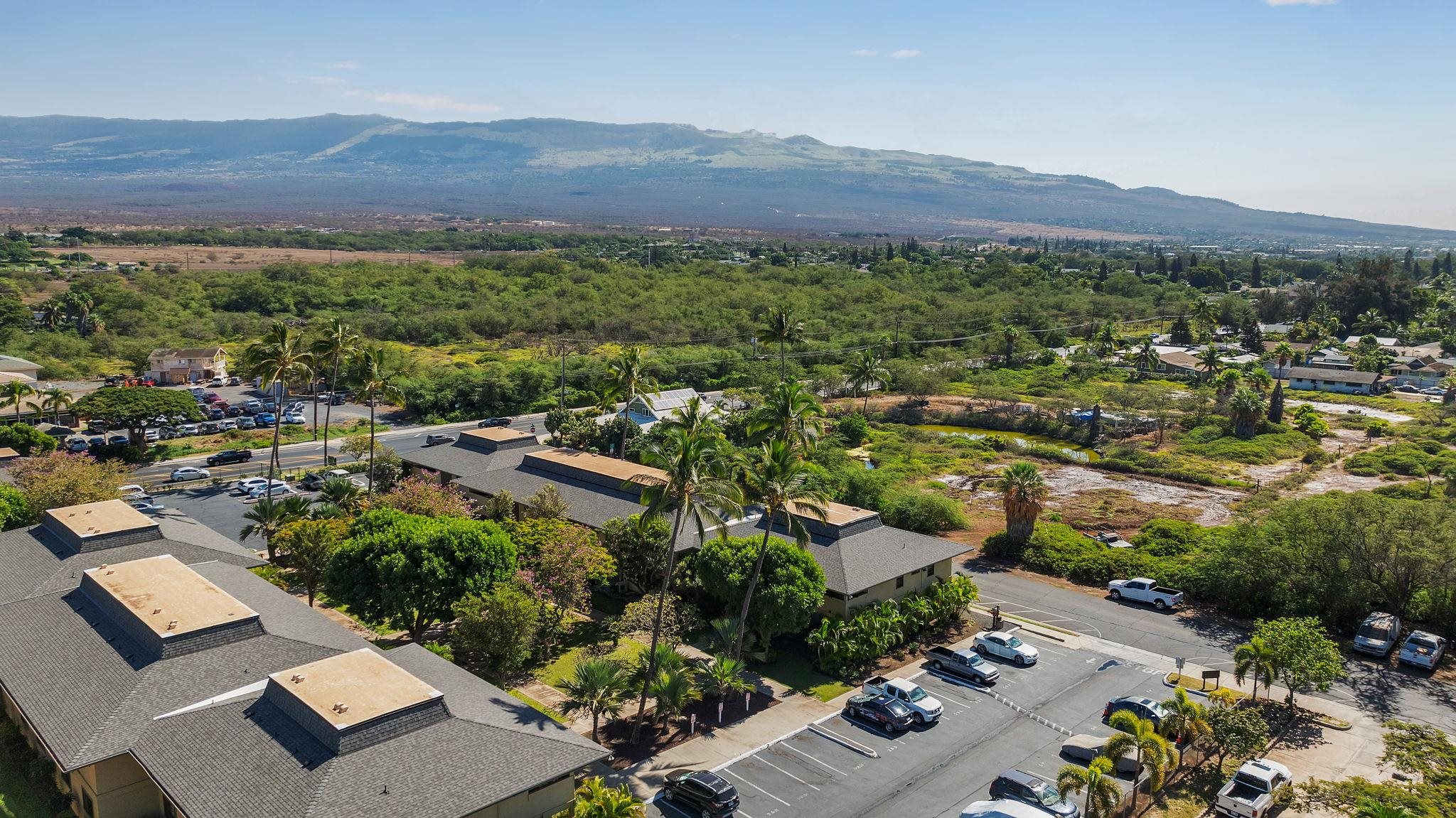 Maui Gardens condo # G102, Kihei, Hawaii - photo 36 of 37