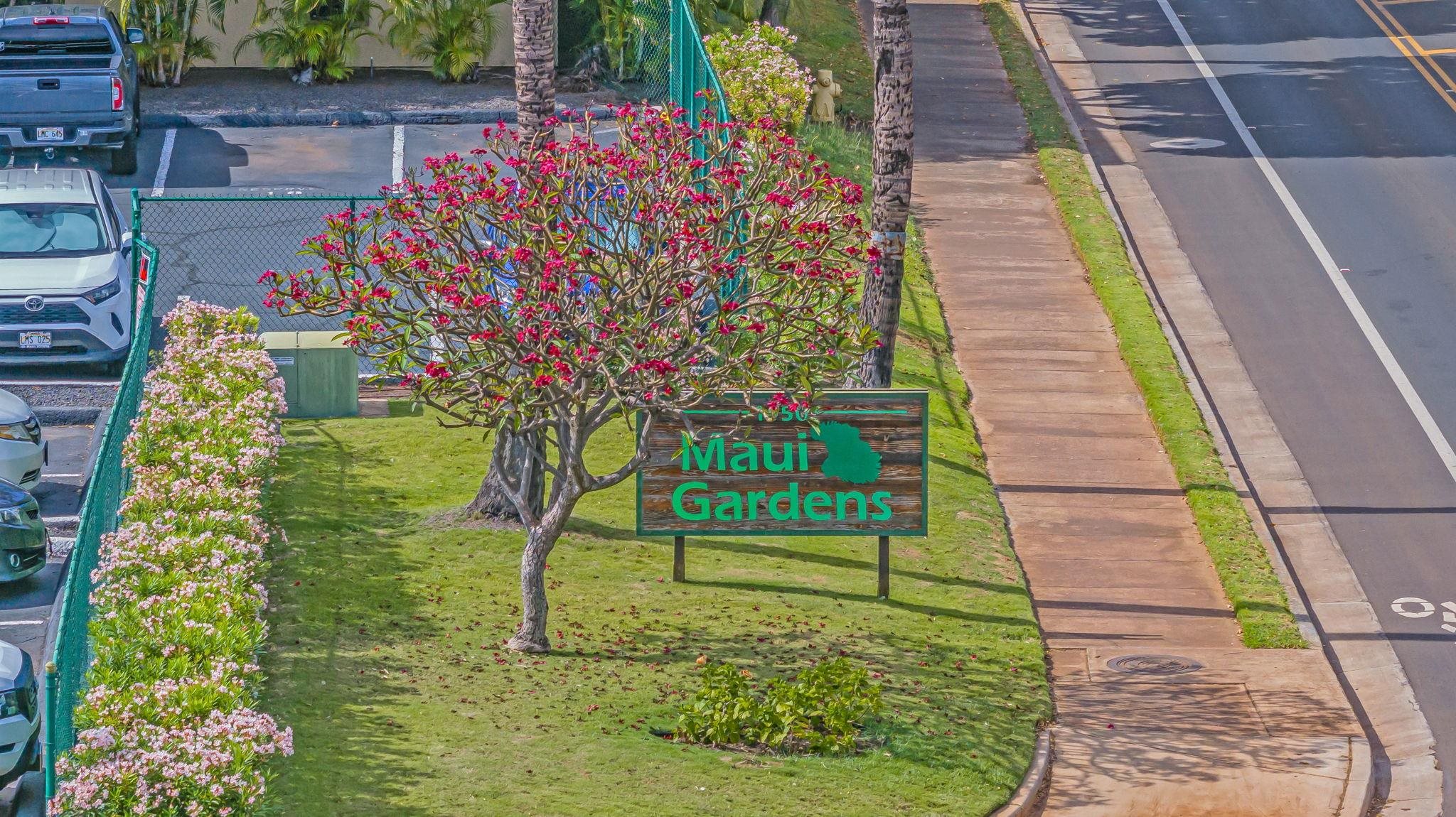 Maui Gardens condo # G202, Kihei, Hawaii - photo 50 of 50