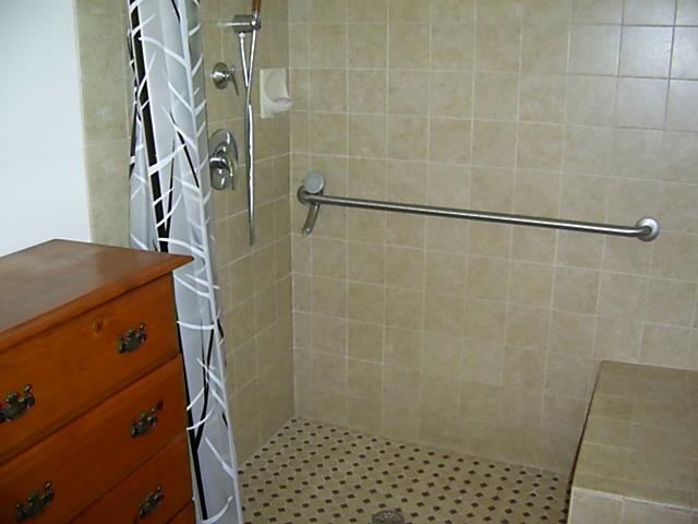 146  Keanuhea St , Kula/Ulupalakua/Kanaio home - photo 11 of 16