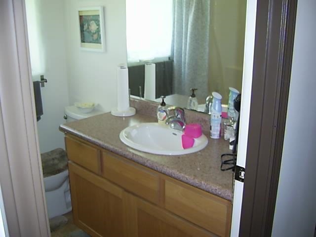 146  Keanuhea St , Kula/Ulupalakua/Kanaio home - photo 13 of 16