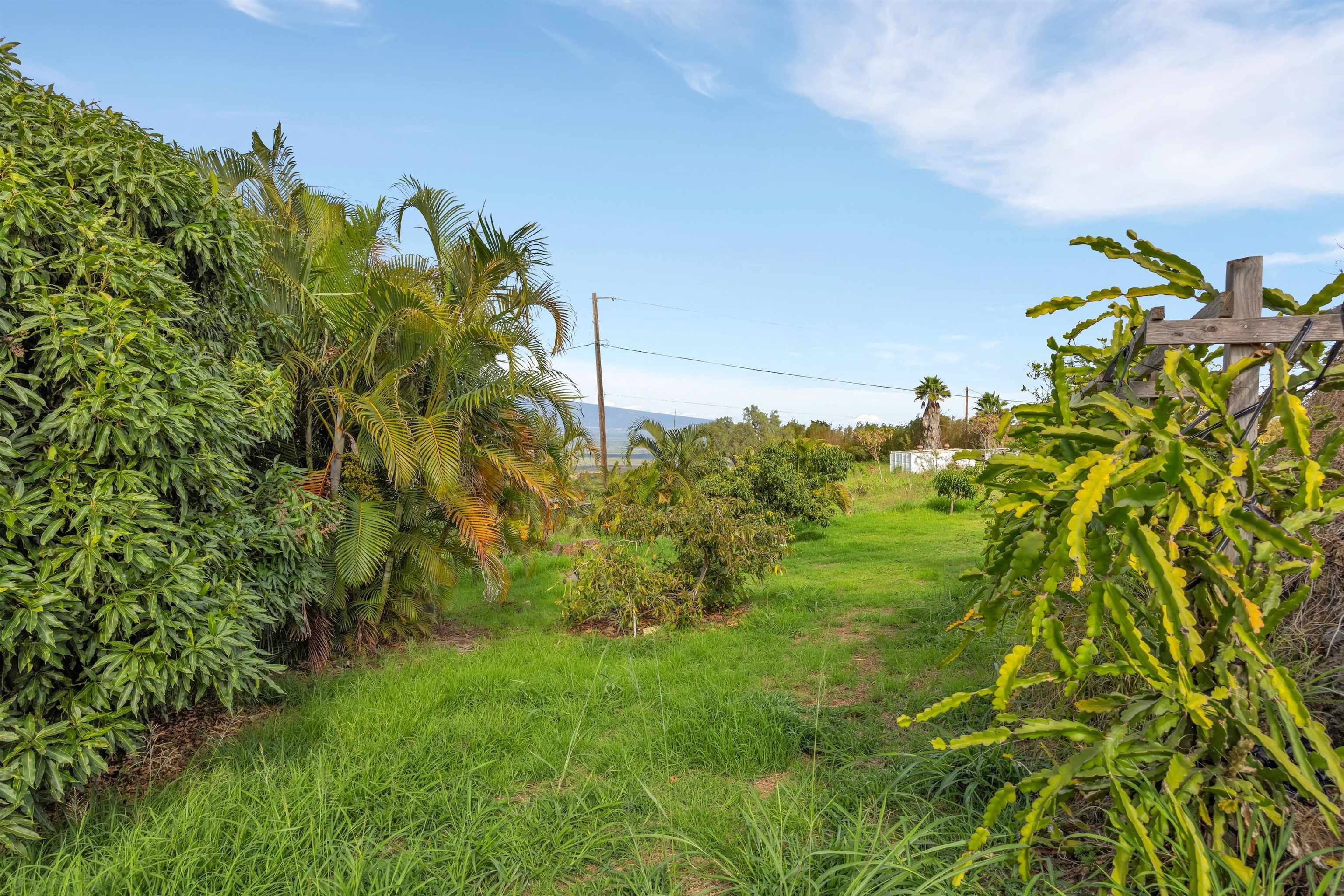 1461  Naalae Rd , Kula/Ulupalakua/Kanaio home - photo 47 of 50