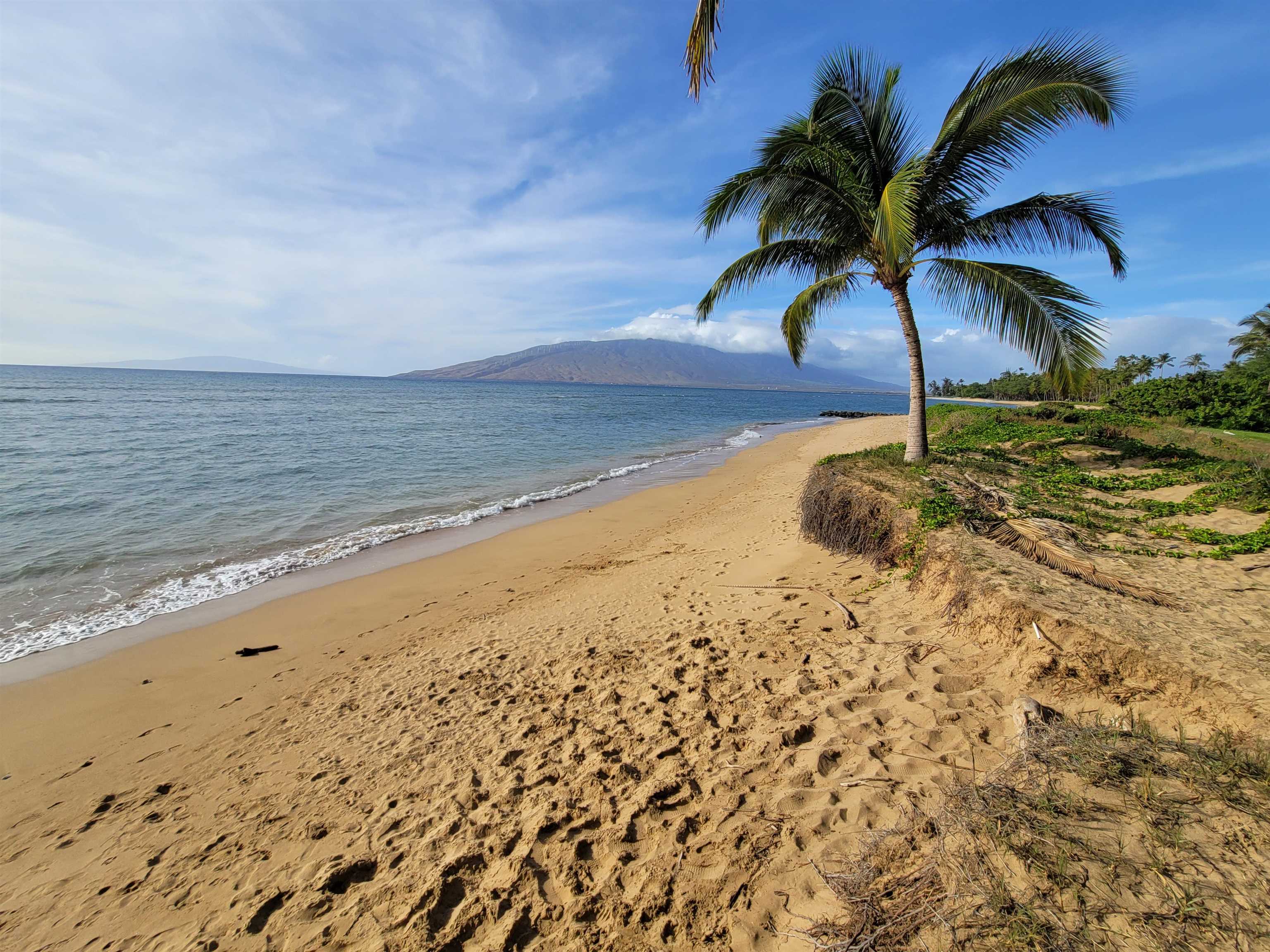 1464 Halama St  Kihei, Hi vacant land for sale - photo 3 of 15