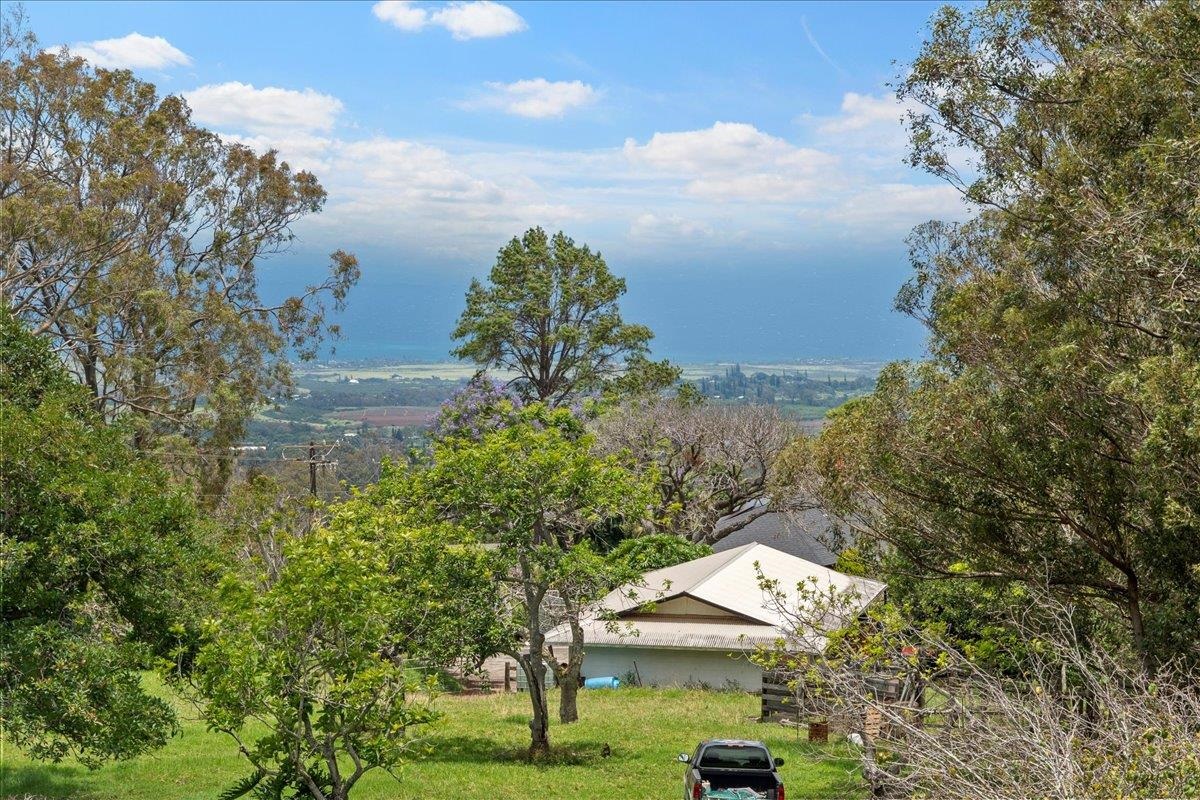 1465  Olinda Rd , Makawao/Olinda/Haliimaile home - photo 25 of 50