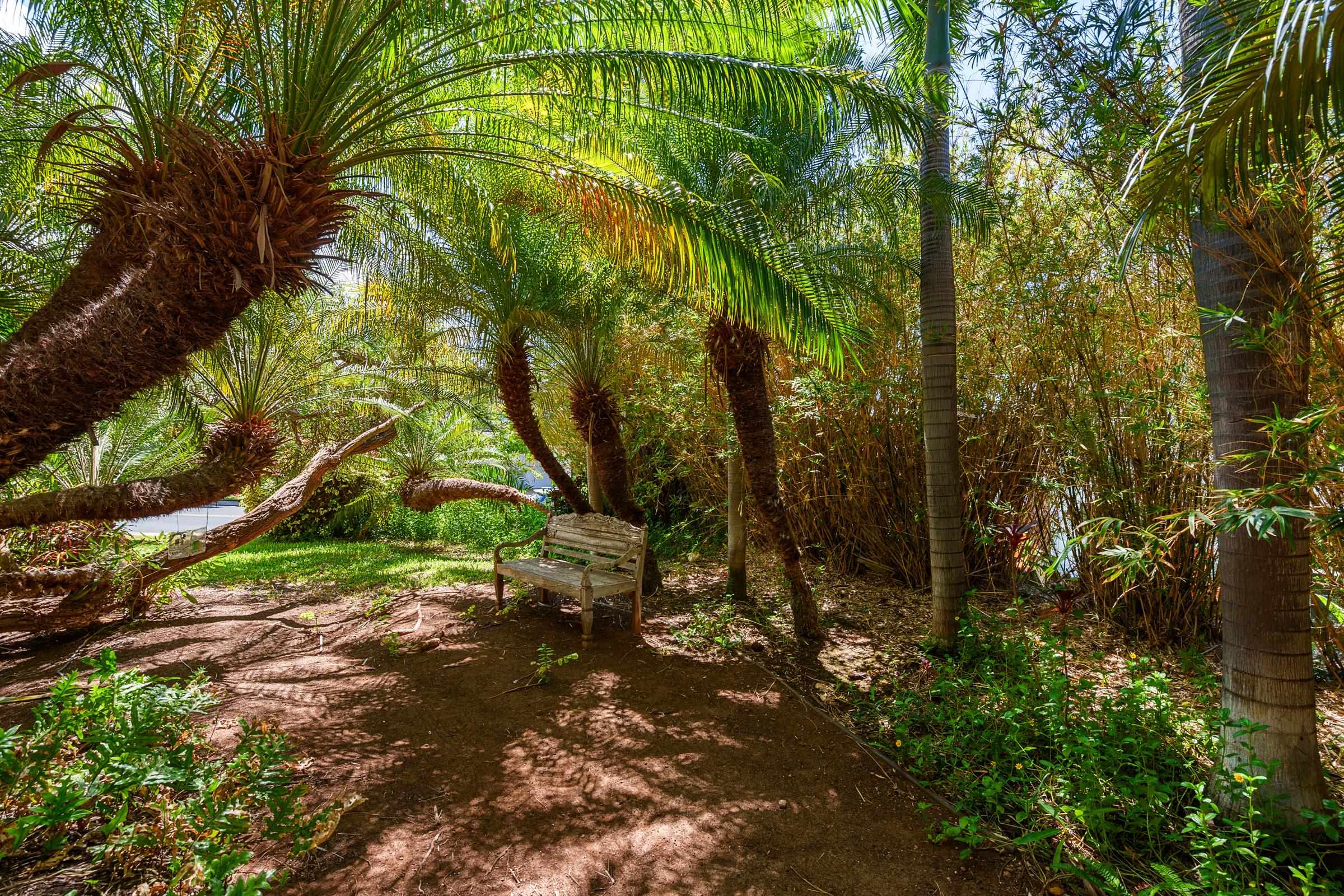 147  Hoohale St Kilohana Ridge, Kihei home - photo 45 of 50