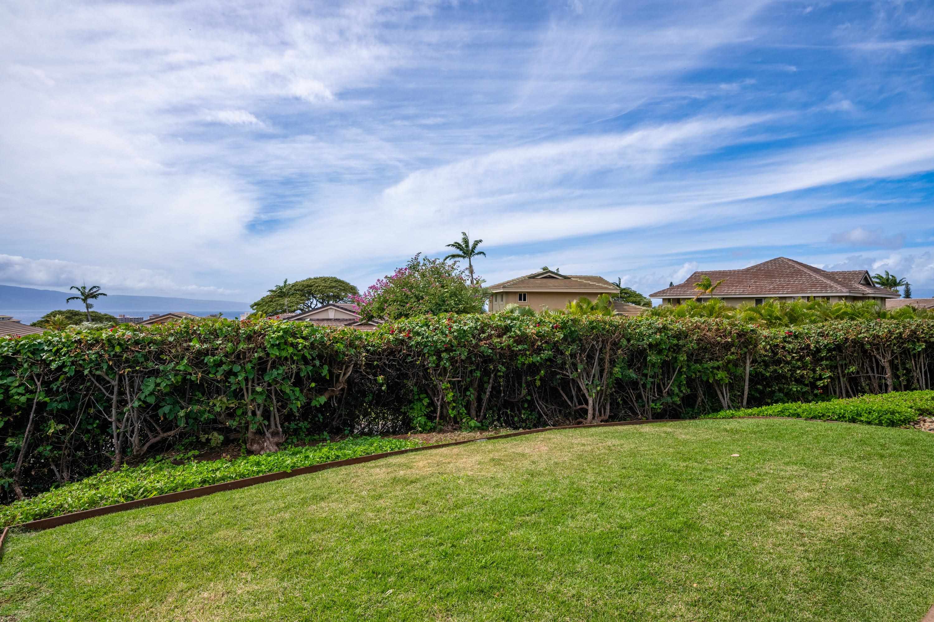 Vintage at Kaanapali condo # 47, Lahaina, Hawaii - photo 29 of 48