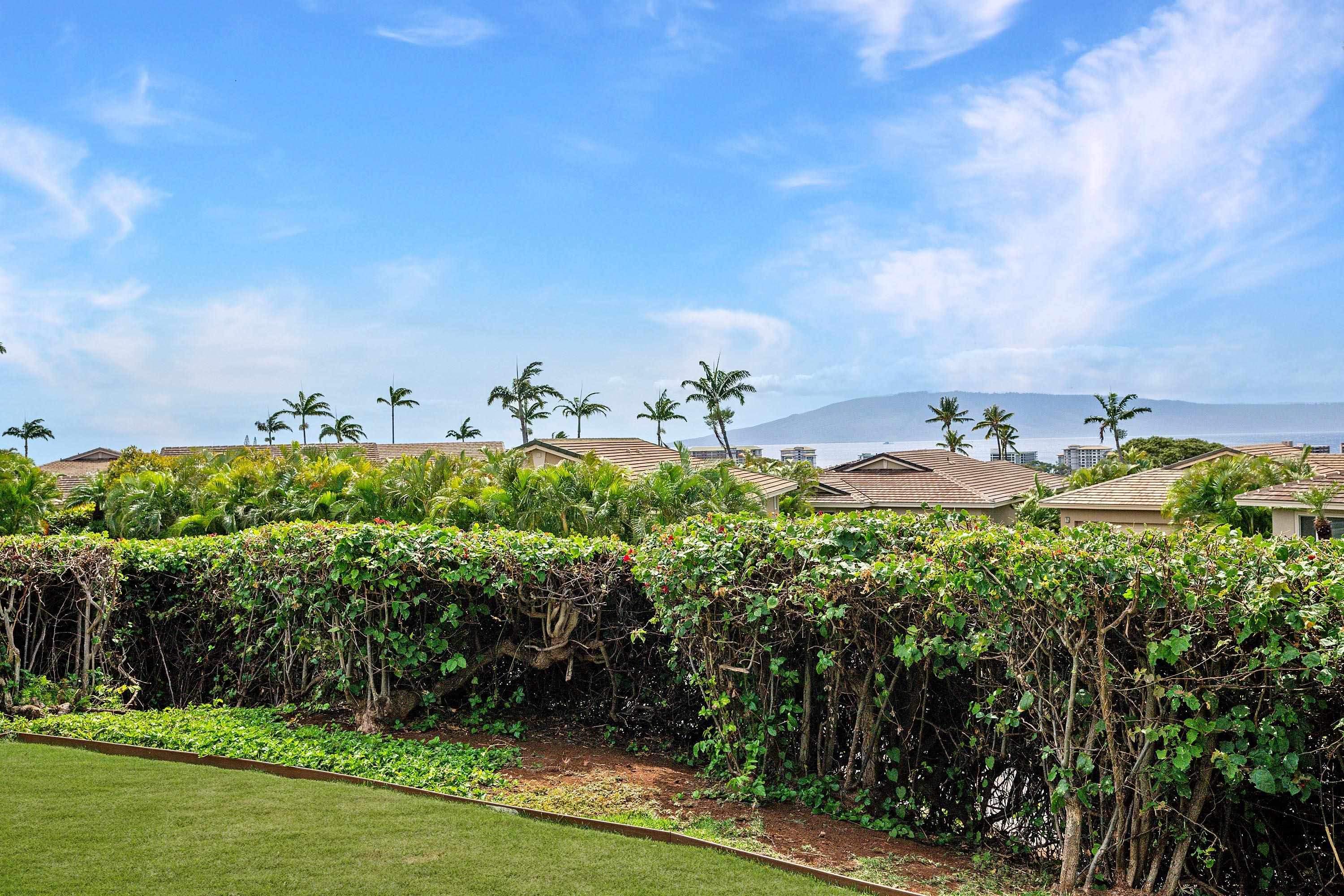 Vintage at Kaanapali condo # 47, Lahaina, Hawaii - photo 32 of 48