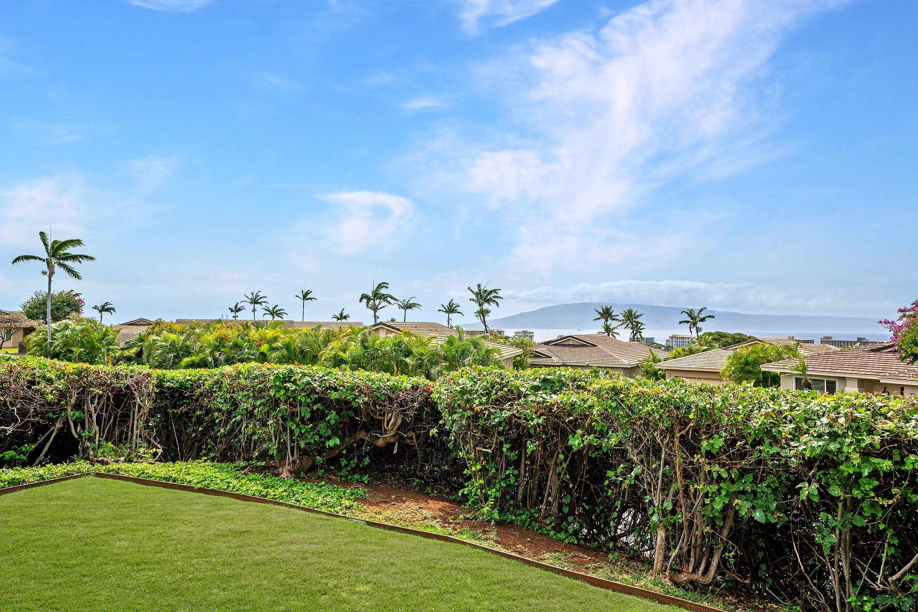 Vintage at Kaanapali condo # 47, Lahaina, Hawaii - photo 33 of 48