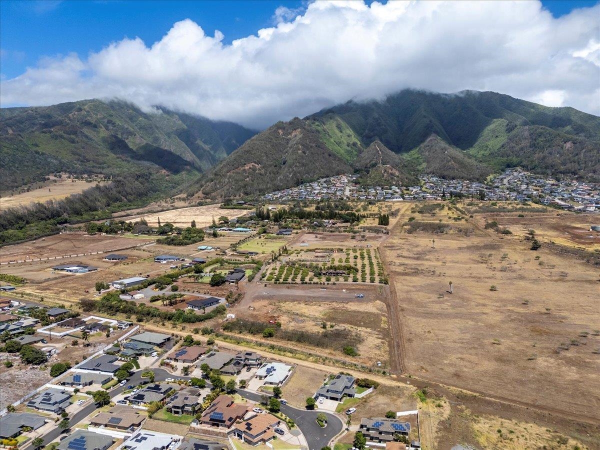 147 Moolu Cir Waikapu  - photo 5 of 13