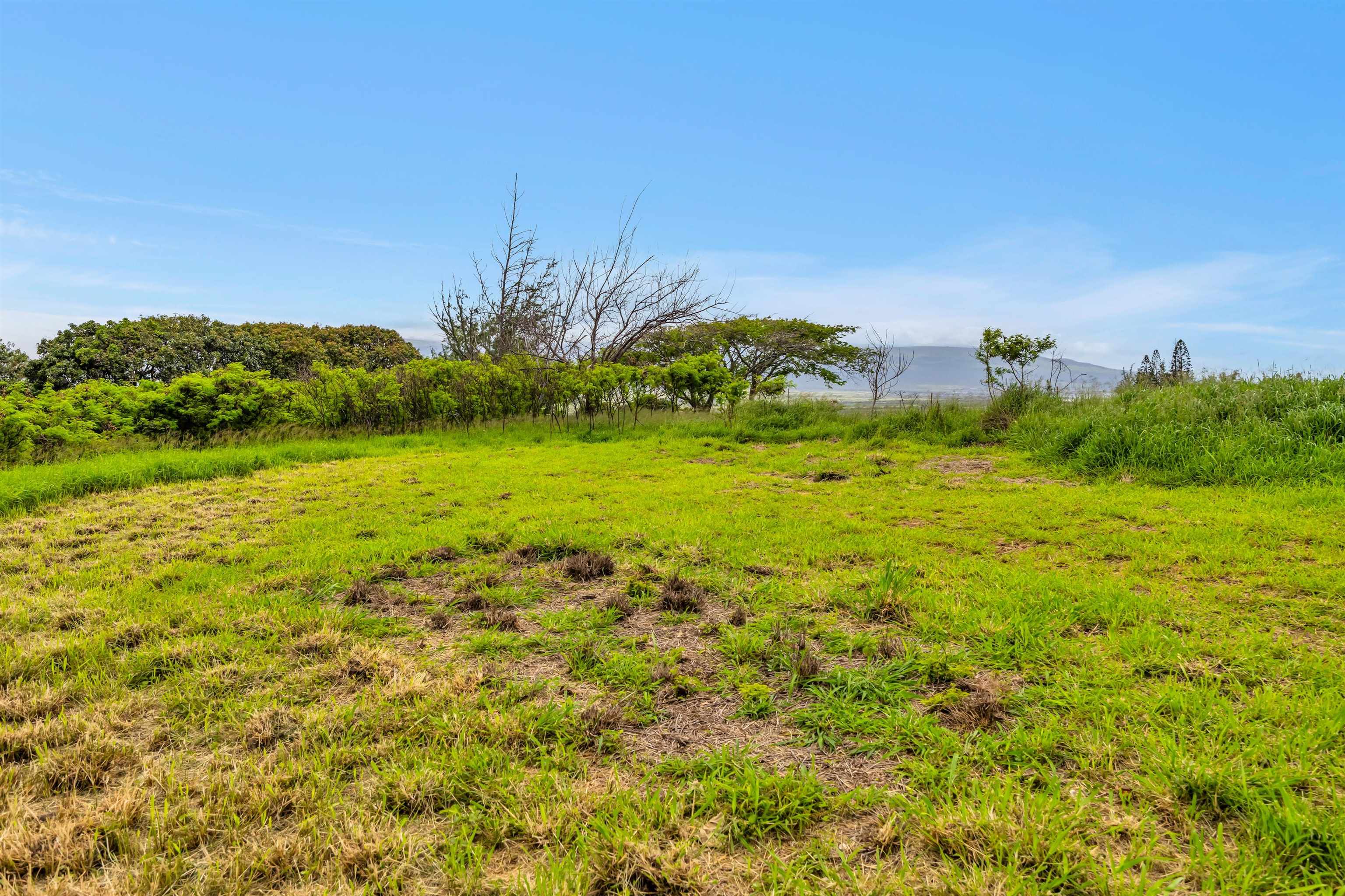 1482  Honoapiilani Hwy , Wailuku home - photo 41 of 43