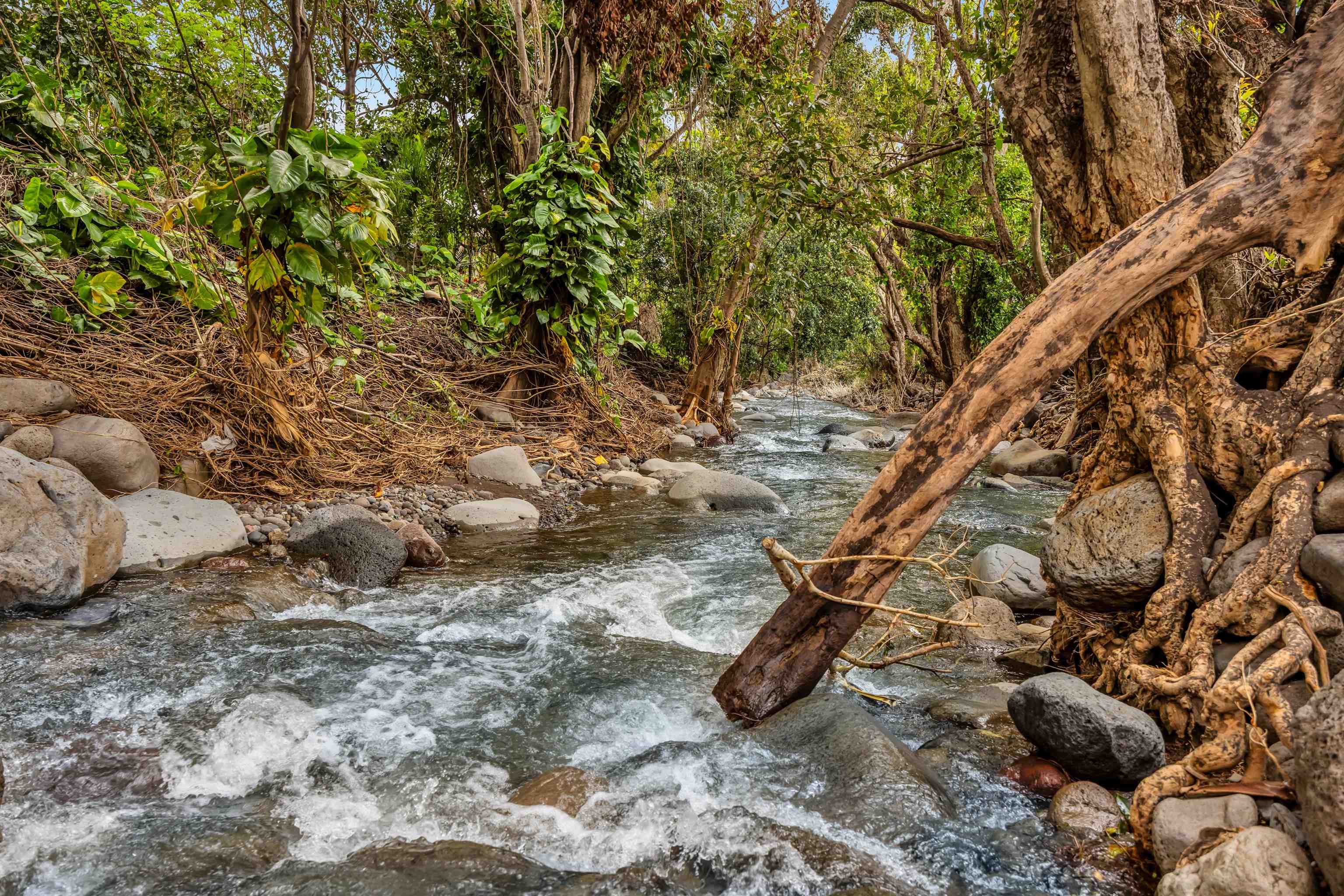 1482  L. Honoapiilani Hwy , Wailuku home - photo 38 of 43