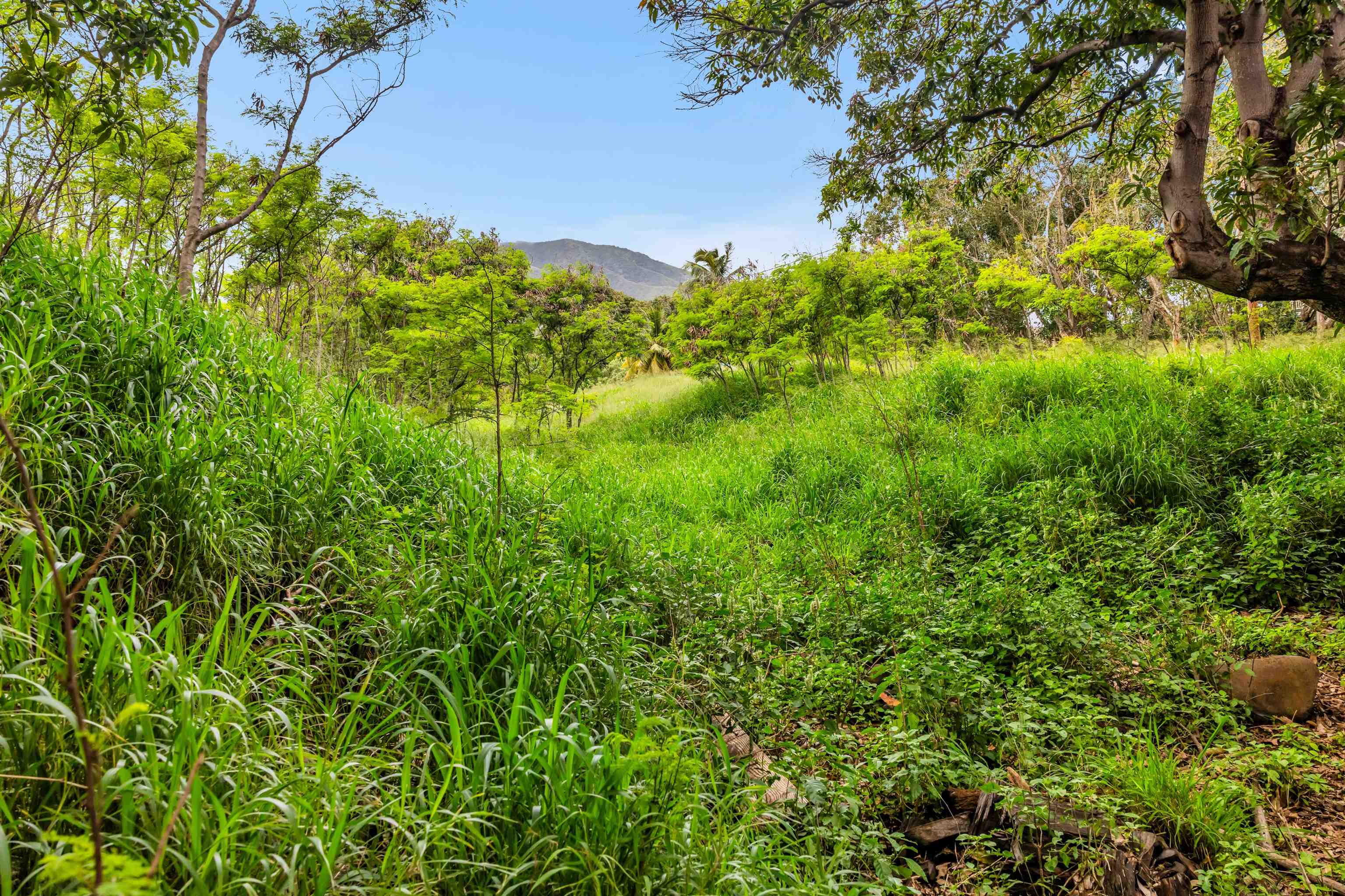 1482  L. Honoapiilani Hwy , Wailuku home - photo 40 of 43
