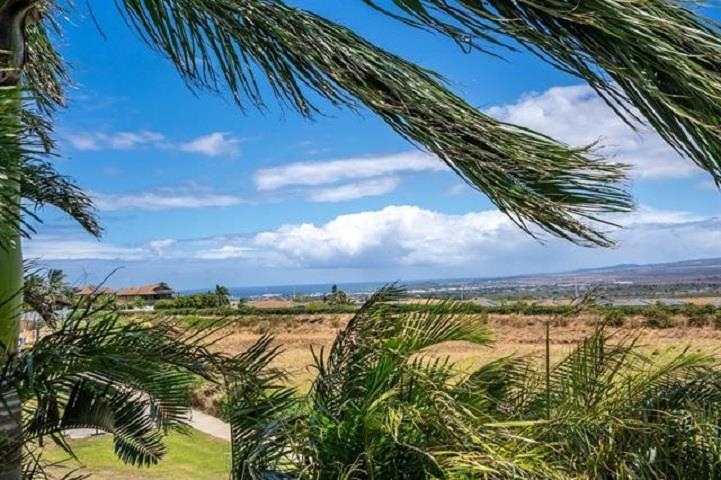 149  Kamahao Cir , Wailuku home - photo 38 of 38