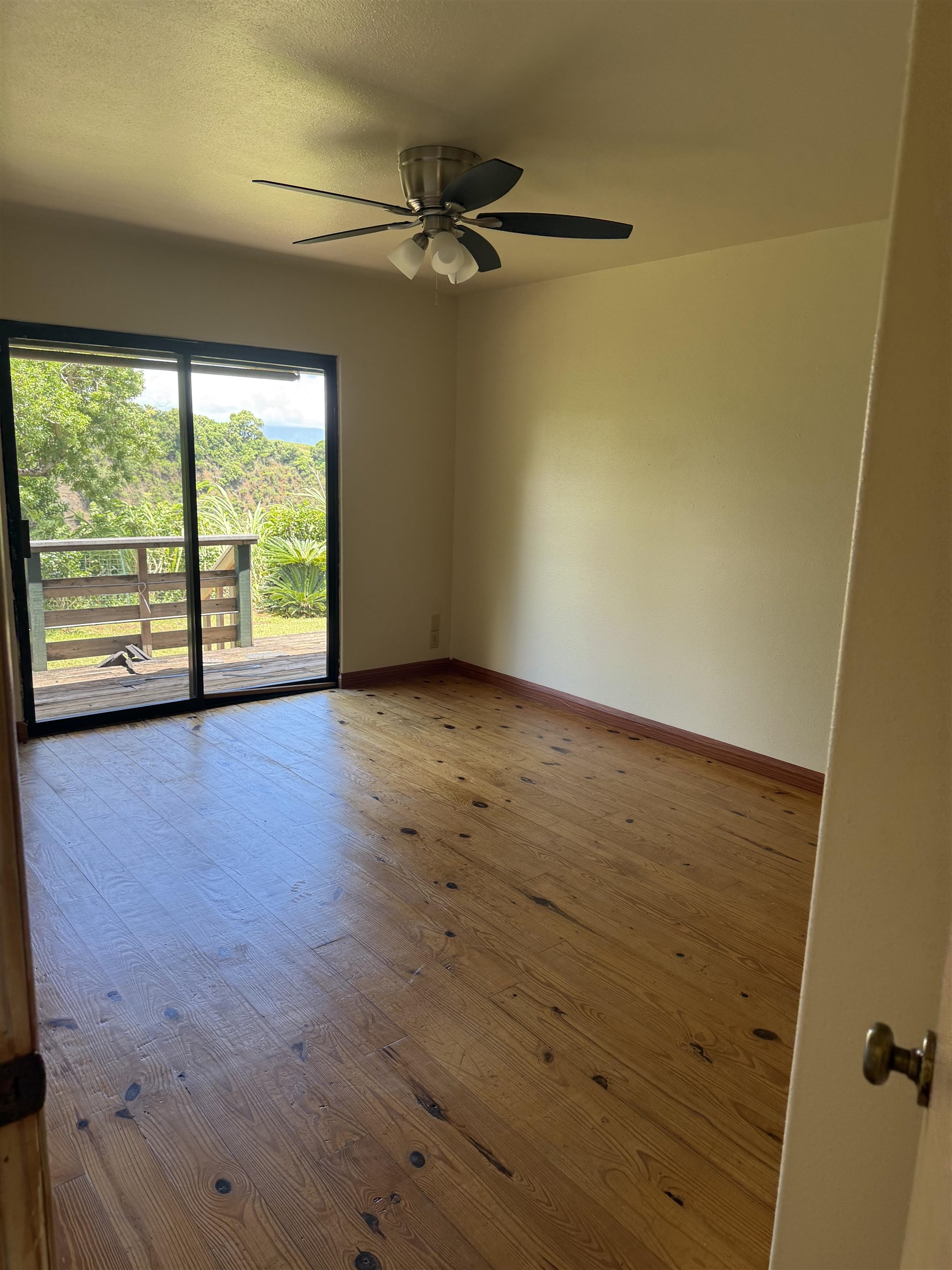 1490  Kokomo Rd , Haiku home - photo 5 of 19