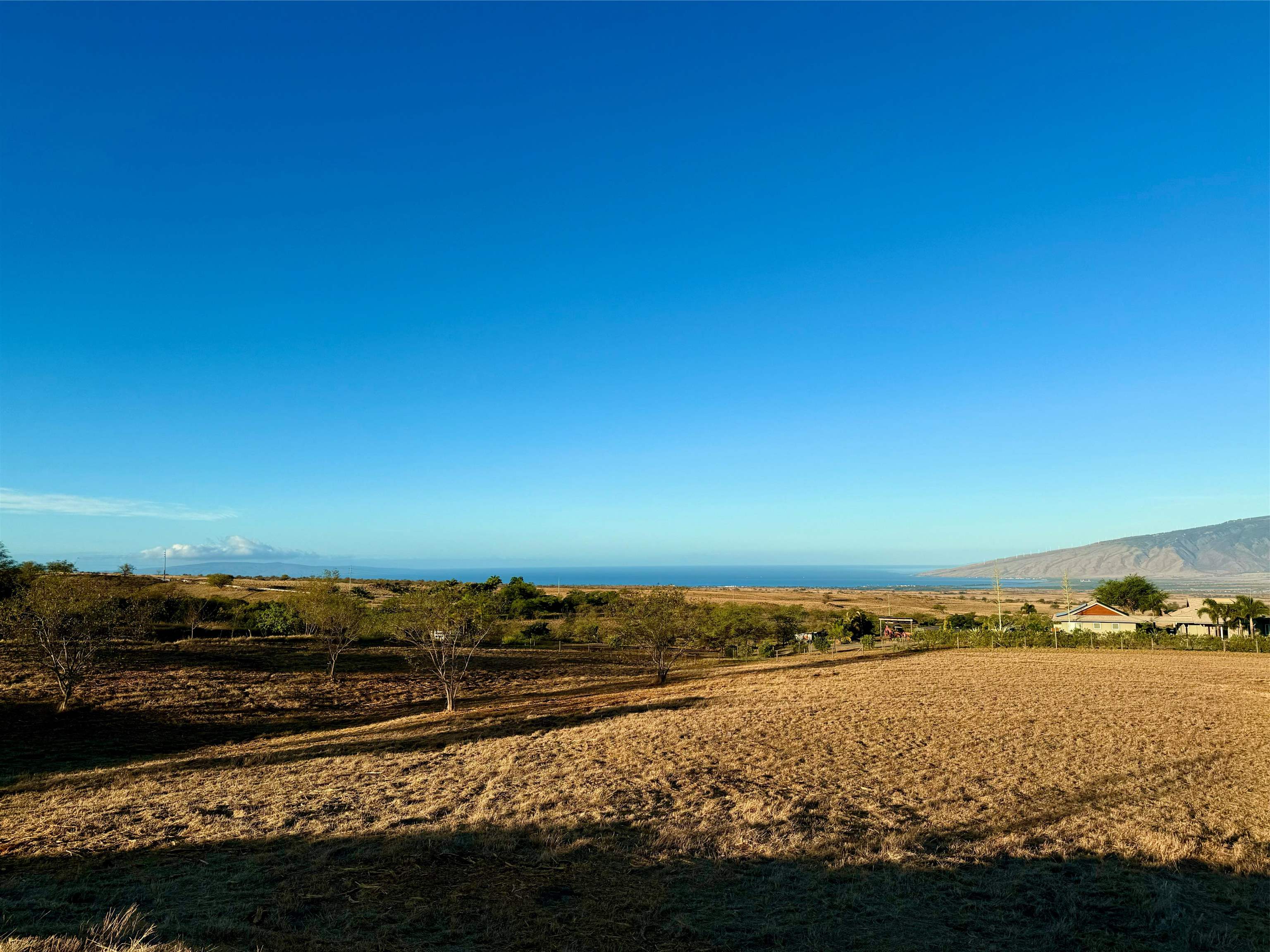 15 Apali Way  Kula, Hi vacant land for sale - photo 3 of 8