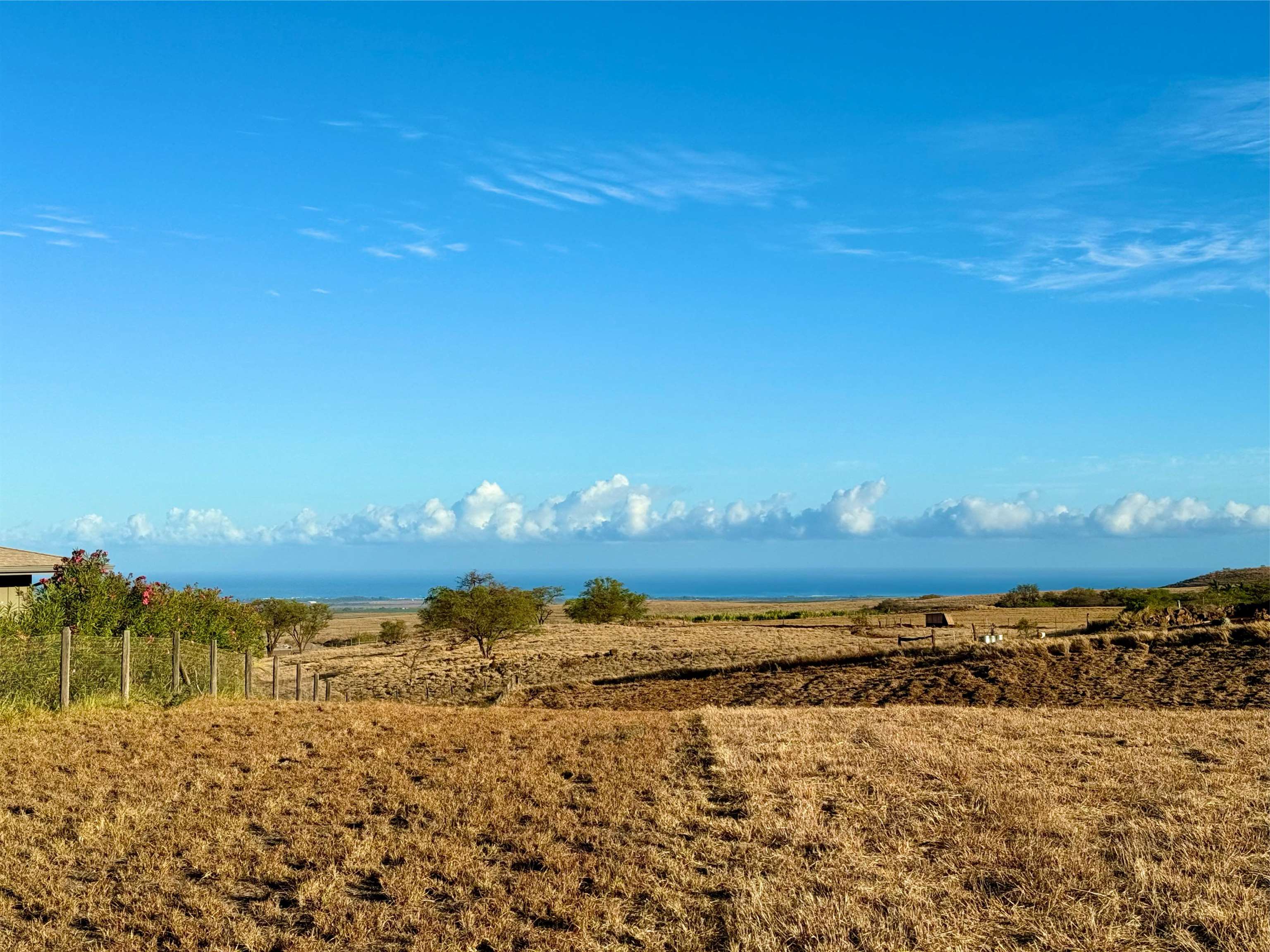 15 Apali Way  Kula, Hi vacant land for sale - photo 4 of 8