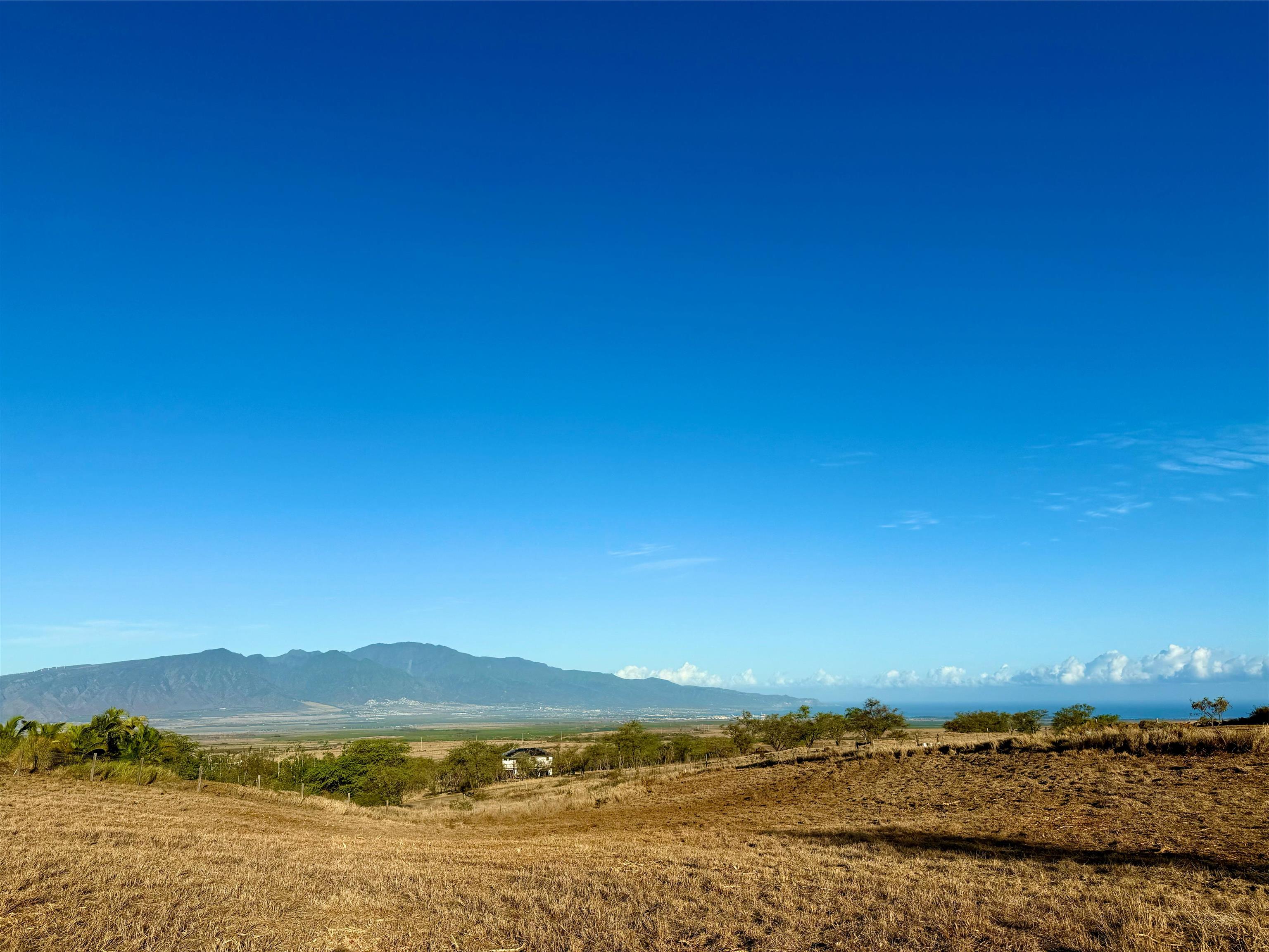 15 Apali Way  Kula, Hi vacant land for sale - photo 5 of 8