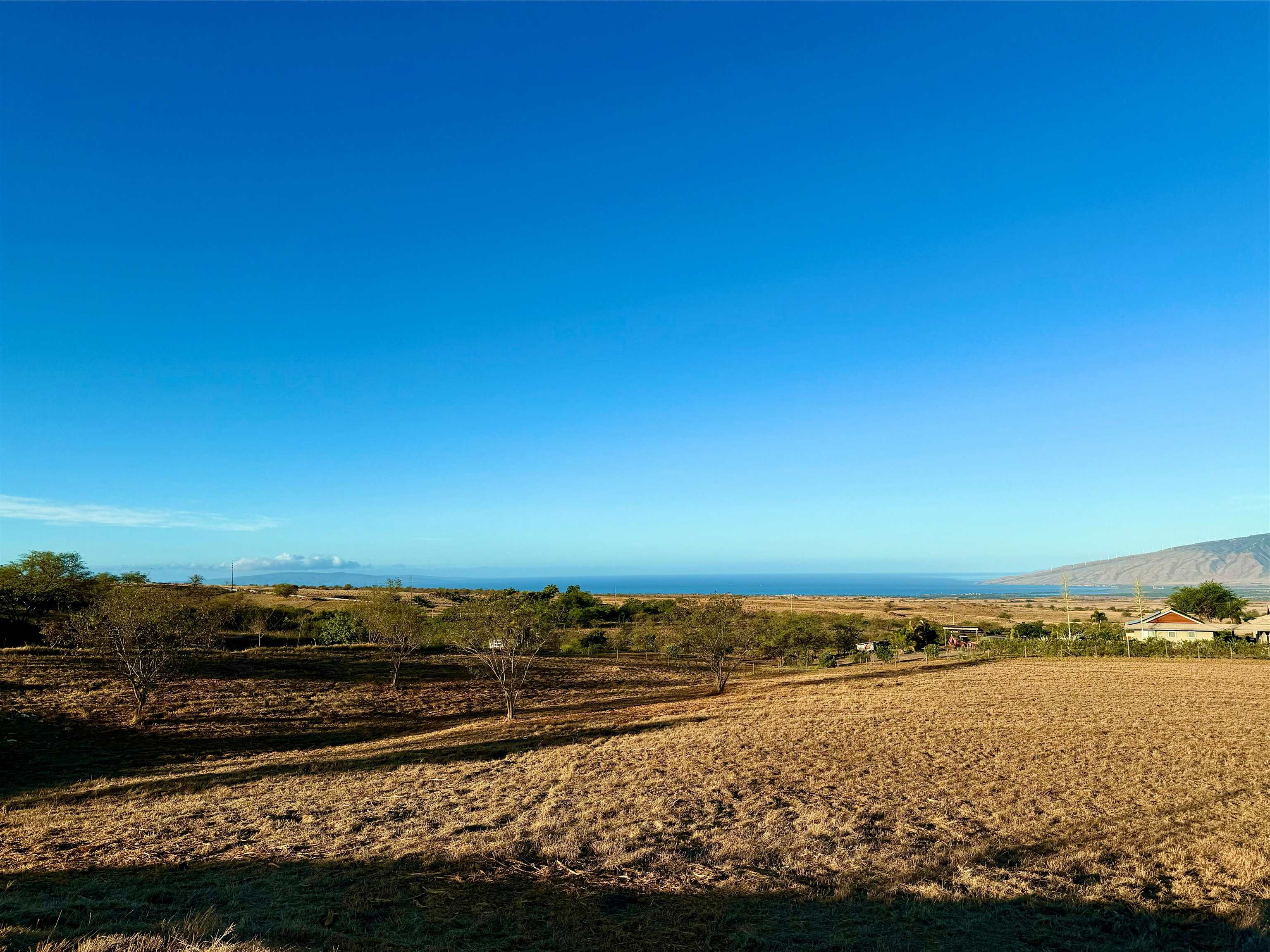 15 Apali Way  Kula, Hi vacant land for sale - photo 6 of 8