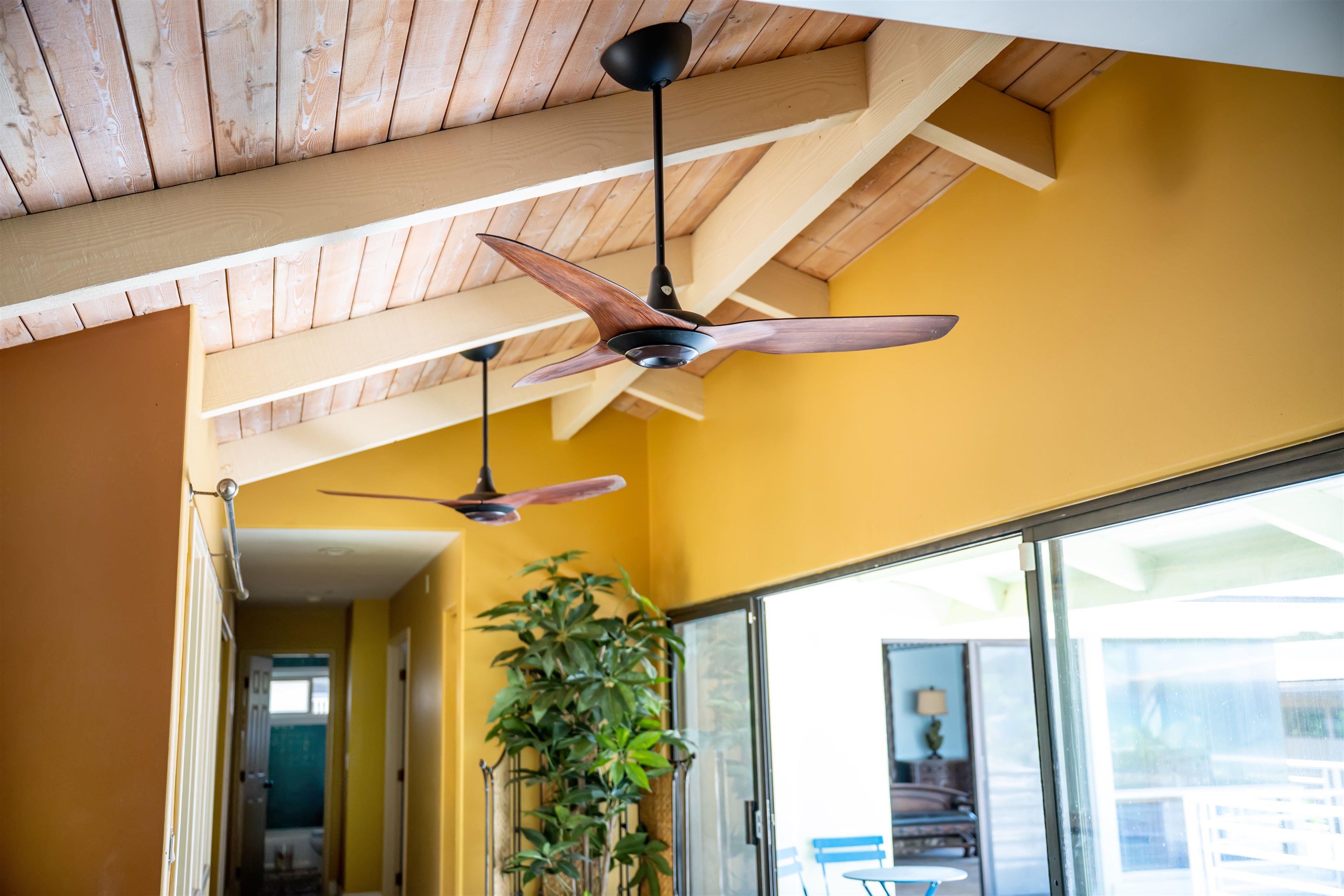 15  Hui E Rd , Napili/Kahana/Honokowai home - photo 17 of 38