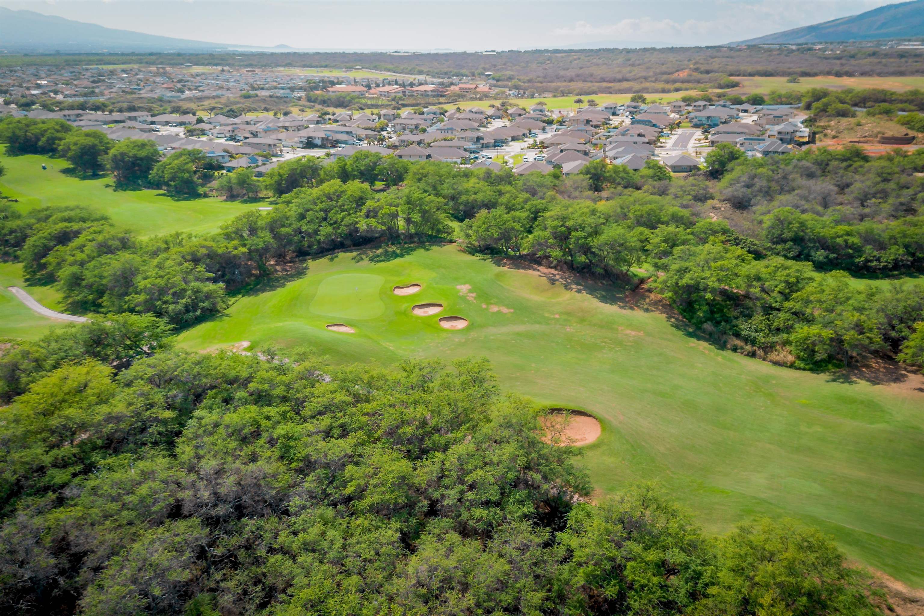 15  Huluhulu Pl Maui Lani, Kahului home - photo 37 of 38