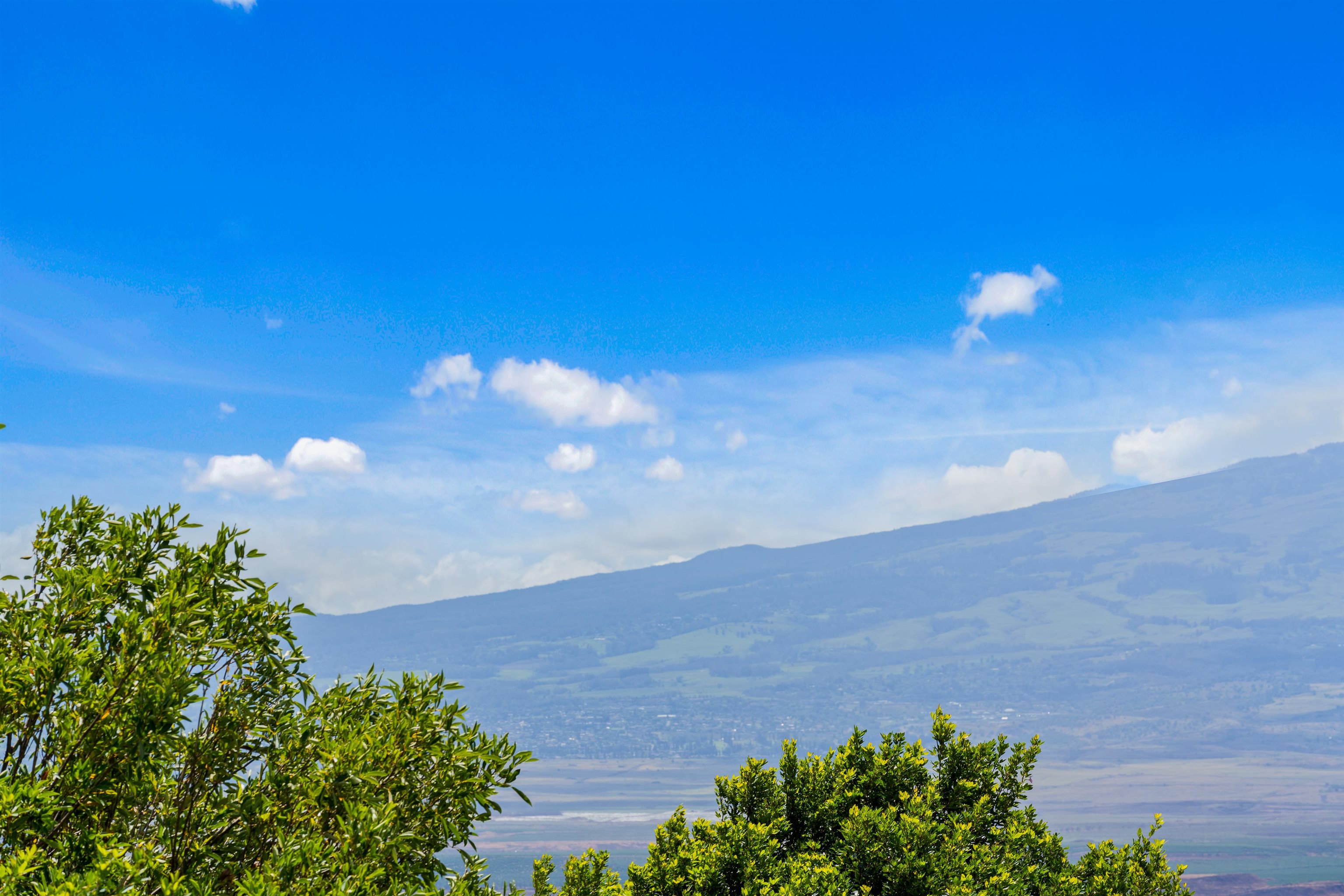 Iliahi at Kehalani condo # 7A, Wailuku, Hawaii - photo 39 of 41
