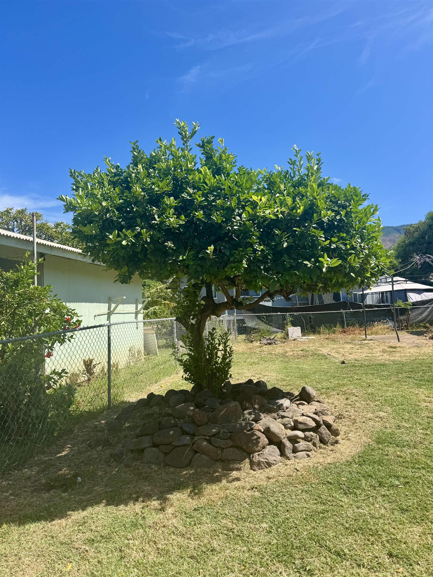 15  Kawela Way , Molokai home - photo 9 of 26