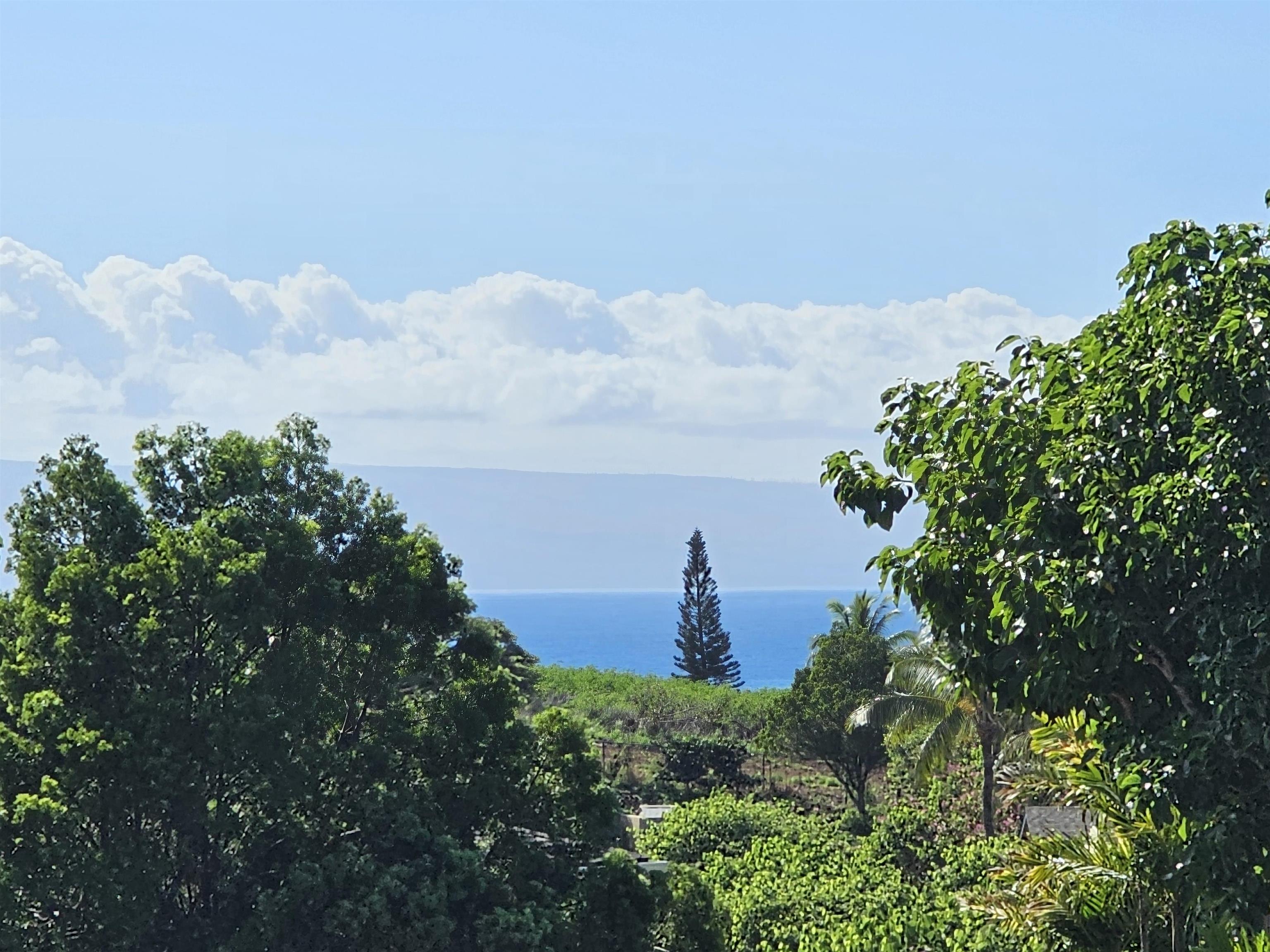 Napili Villas condo # 24-2, Lahaina, Hawaii - photo 19 of 20