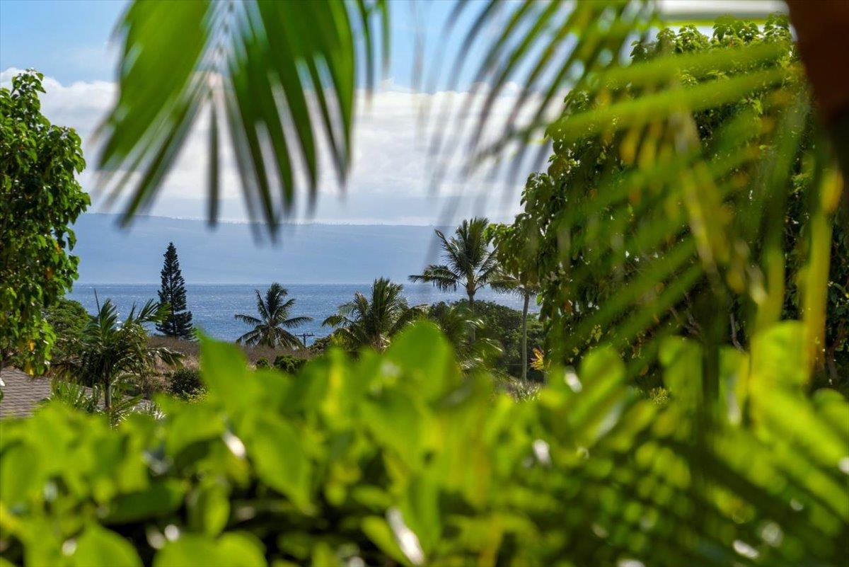 Napili Villas condo # 24-2, Lahaina, Hawaii - photo 10 of 24