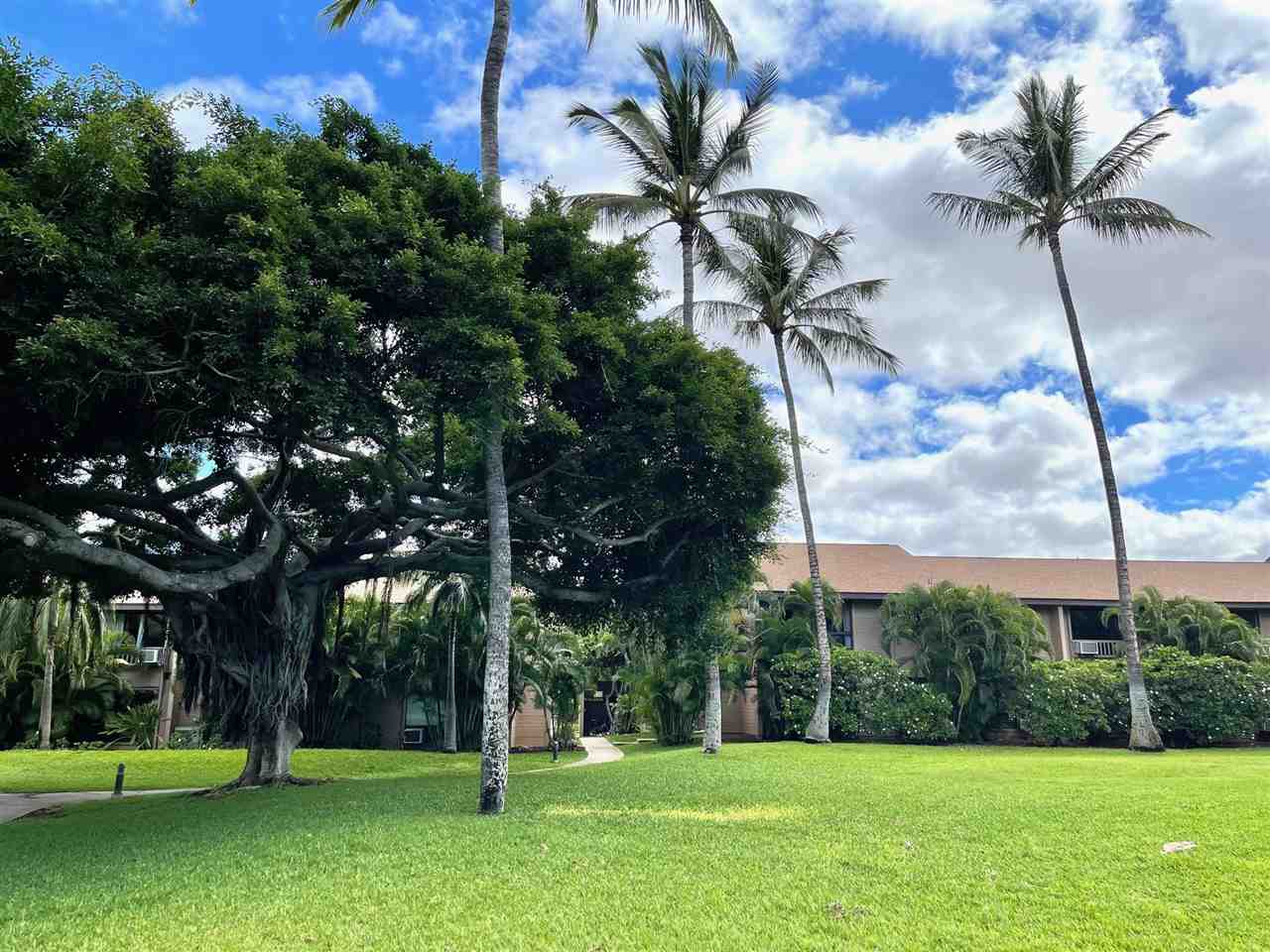 Haleakala Gardens condo # 12D, Kihei, Hawaii - photo 28 of 30