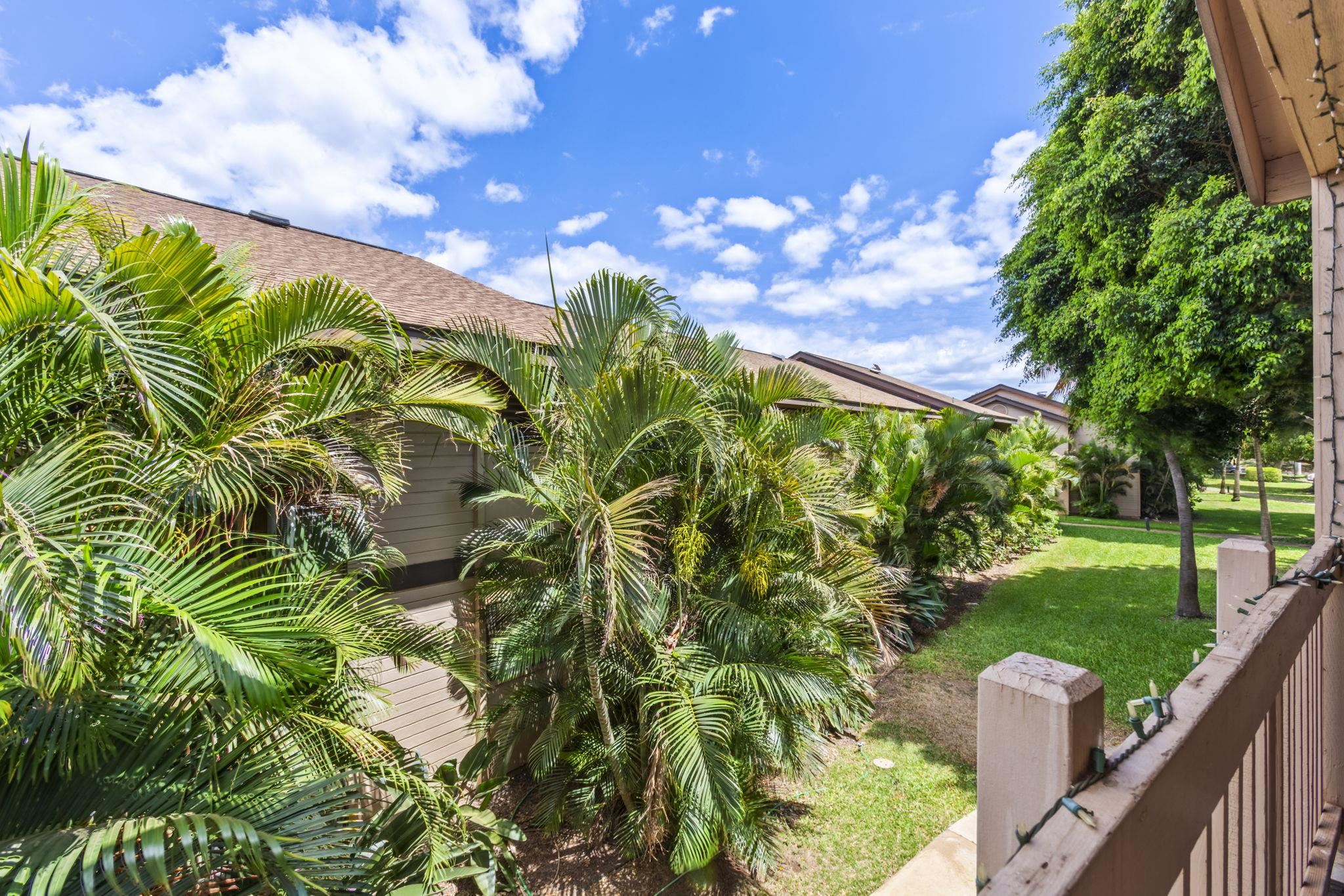 Haleakala Gardens condo # 12E, Kihei, Hawaii - photo 36 of 50