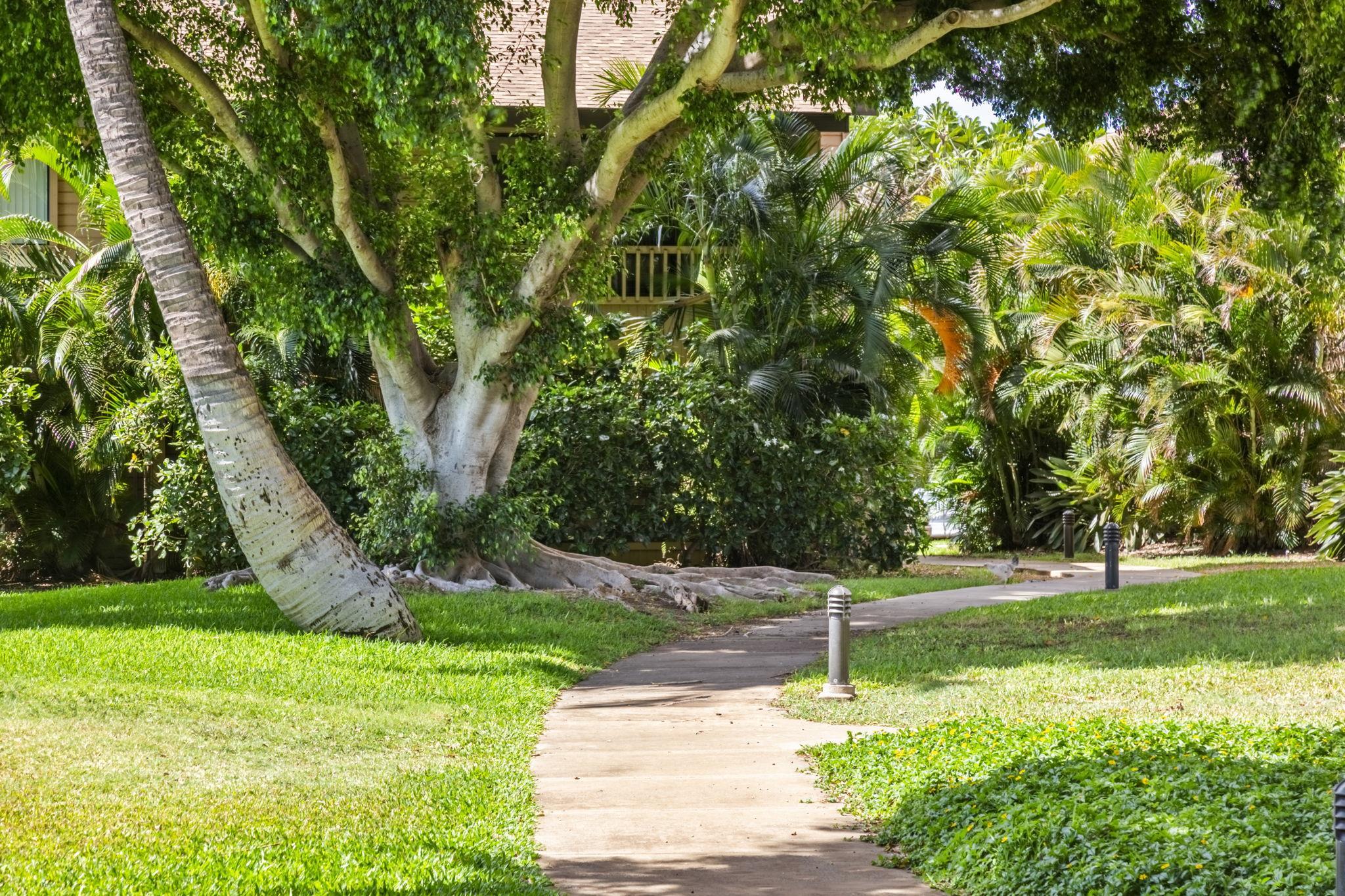 Haleakala Gardens condo # 12E, Kihei, Hawaii - photo 40 of 50