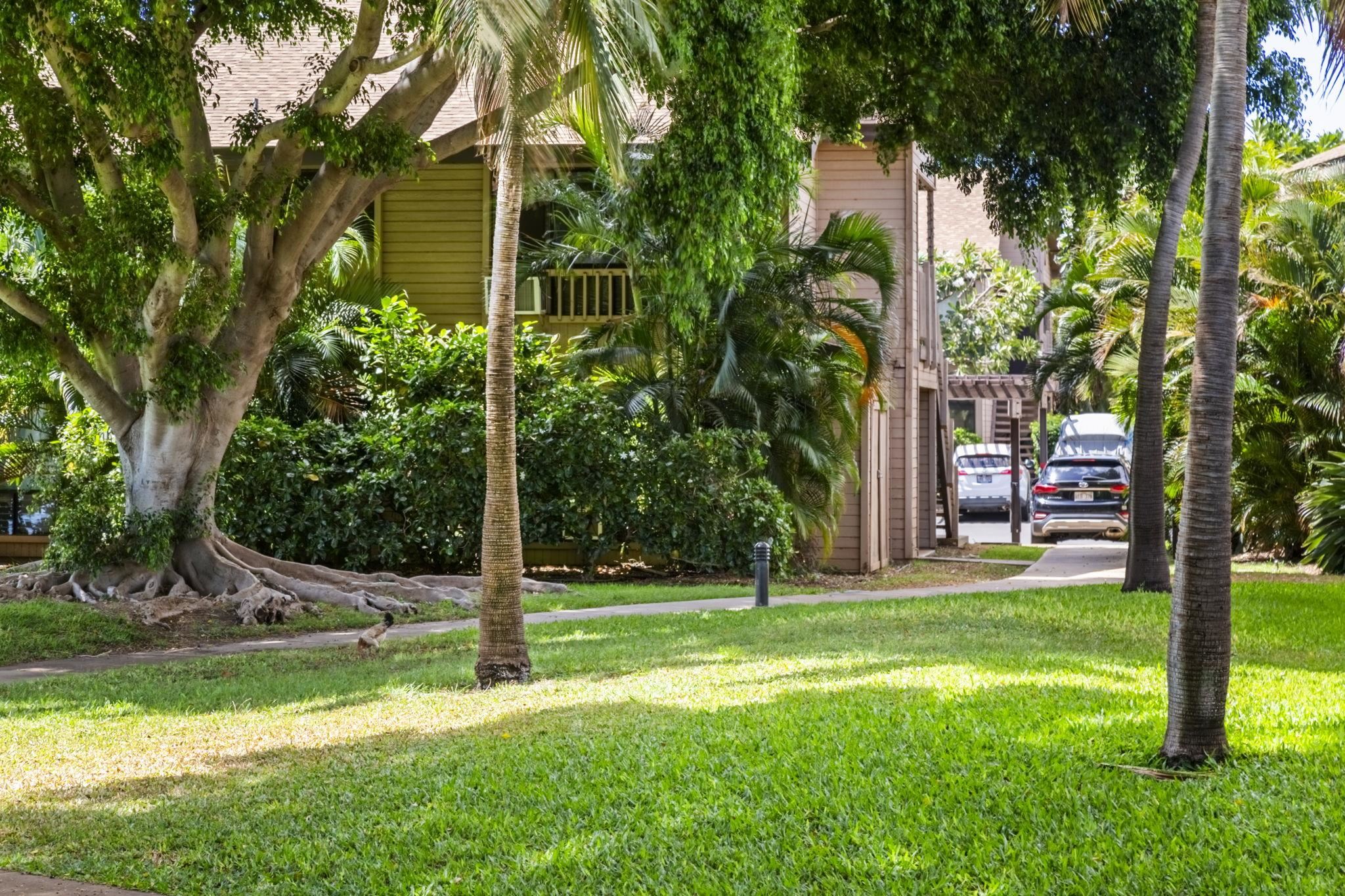Haleakala Gardens condo # 12E, Kihei, Hawaii - photo 41 of 50