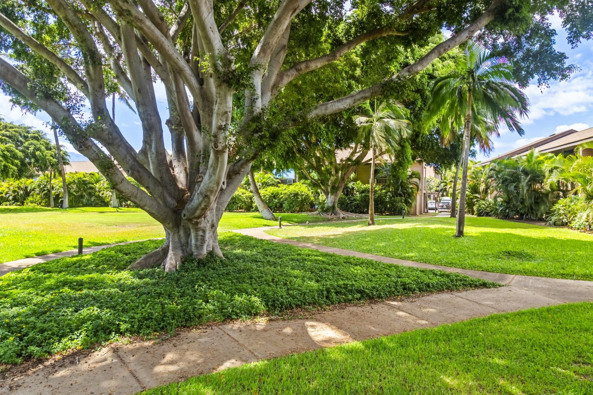 Haleakala Gardens condo # 12E, Kihei, Hawaii - photo 42 of 50