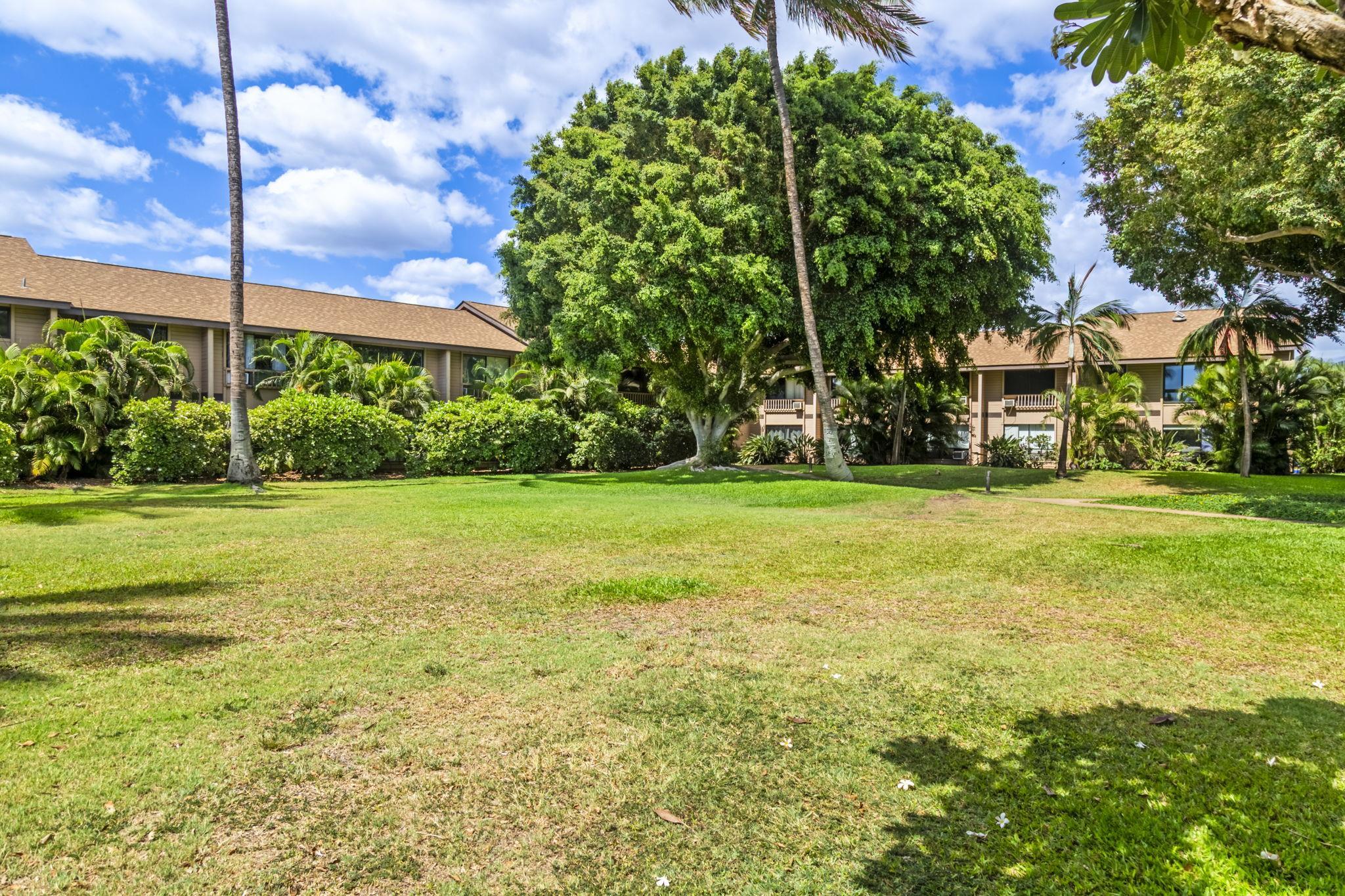 Haleakala Gardens condo # 12E, Kihei, Hawaii - photo 45 of 50