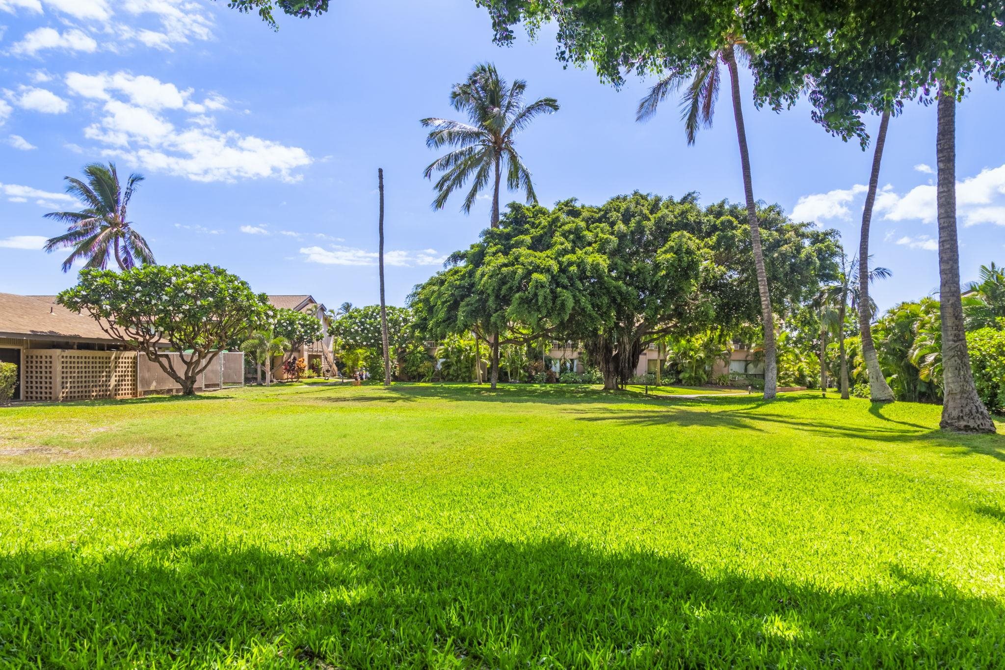 Haleakala Gardens condo # 12E, Kihei, Hawaii - photo 47 of 50