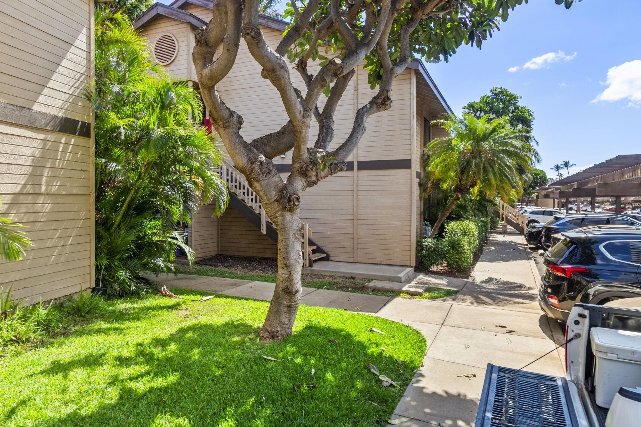 Haleakala Gardens condo # 12E, Kihei, Hawaii - photo 48 of 50