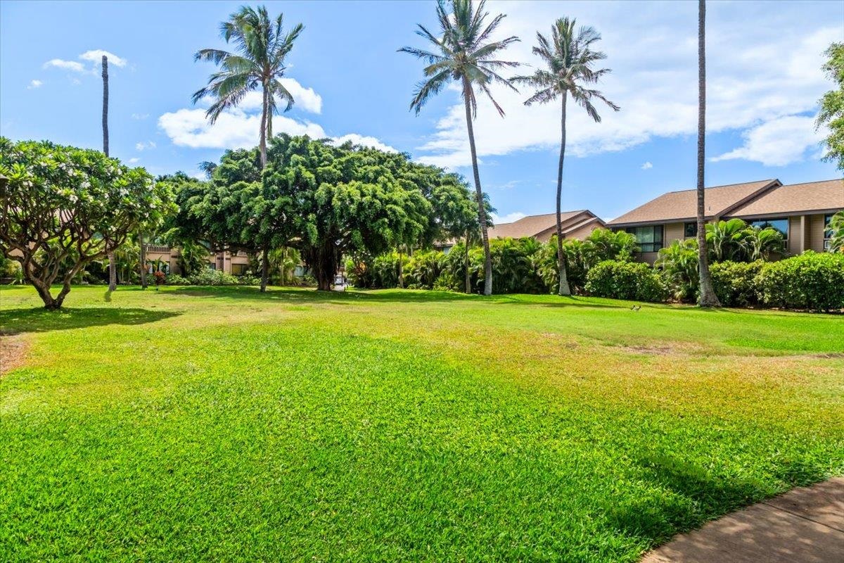 Haleakala Gardens condo # 13F, Kihei, Hawaii - photo 32 of 34