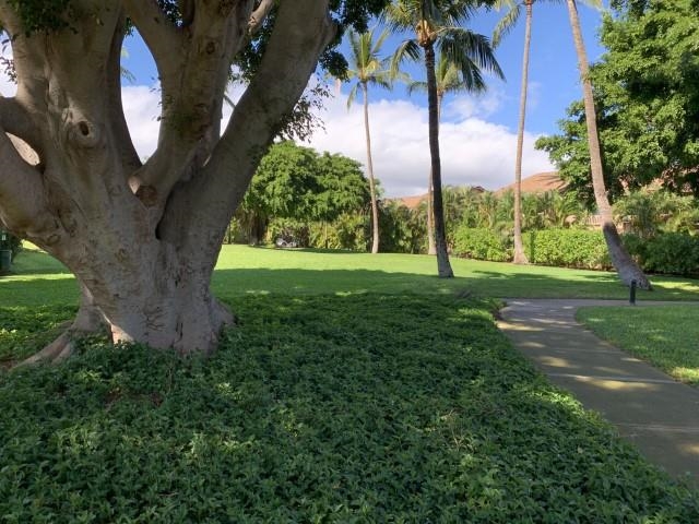 Haleakala Gardens condo # 14B, Kihei, Hawaii - photo 17 of 30